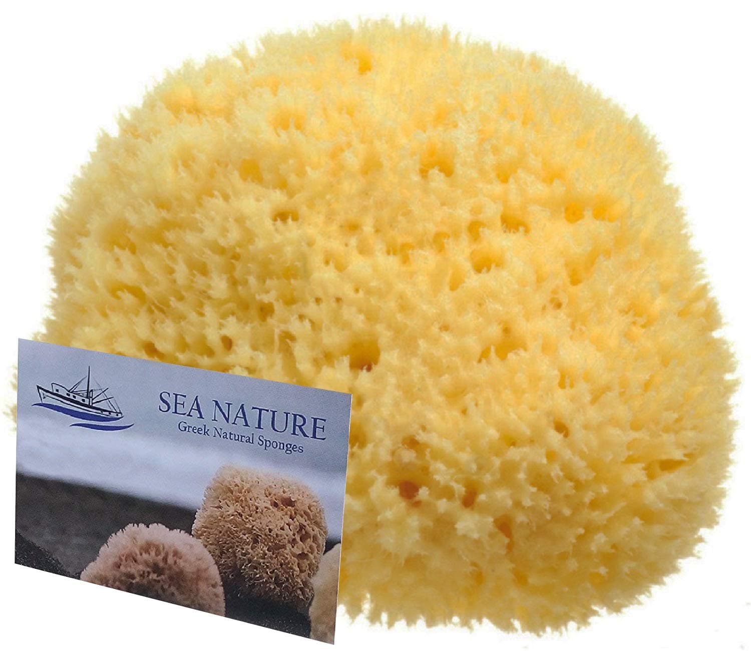 Natural Sea Sponge Sea Nature Brand 5-6 inches Soft Type for Body Bath and Face Cleaning Ideal for Baby Bathing