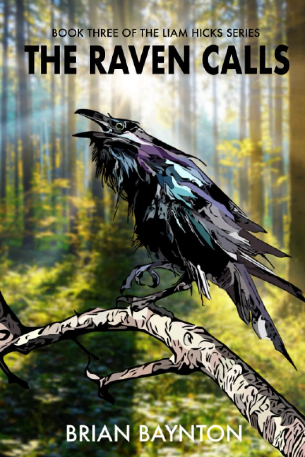 The Raven Calls: Book Three Of The Liam Hicks Series