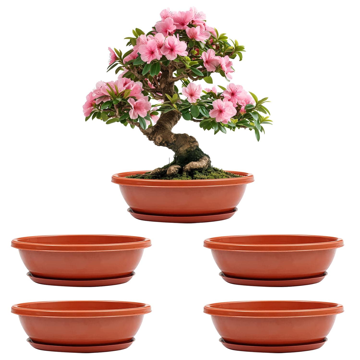 Agora 5 Pieces 15" Oval Bonsai Plant Pots with Trays, Virgin Plastic Bonsai Pots, Flower Succulent Pots with Trays Durable Planter Plants Growing Pots Container for Garden Big (Brown)