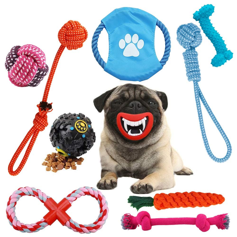 OSLA Puppy Toys 10 Pack Kong Dog Teething Toys Sets Interactive Dogs Mouth Chew Toys Durable Training Teeth Toys Dogs Treat Ball Rope Tug Toys Dog Squeaky Toy for Small Medium Dogs