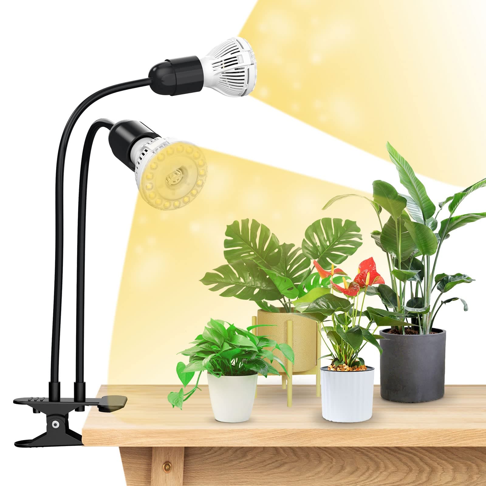 300W LED Grow Lights for Indoor Plants with Lifetime Free E27 Grow Bulb Replacement, Full Spectrum Doule Gooseneck Clip Plant Grow Lamp with Optical Lens for Seedlings Plant Growing - Black
