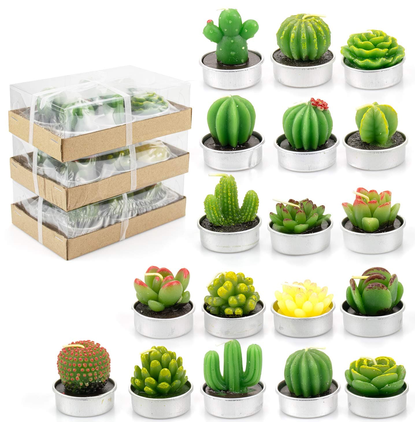 Lawei 12 Pack Cactus Tealight Candles - Handmade Succulent & Cactus Designs - Smokeless, Festive Scent - Perfect for Home Decor, Parties & Weddings