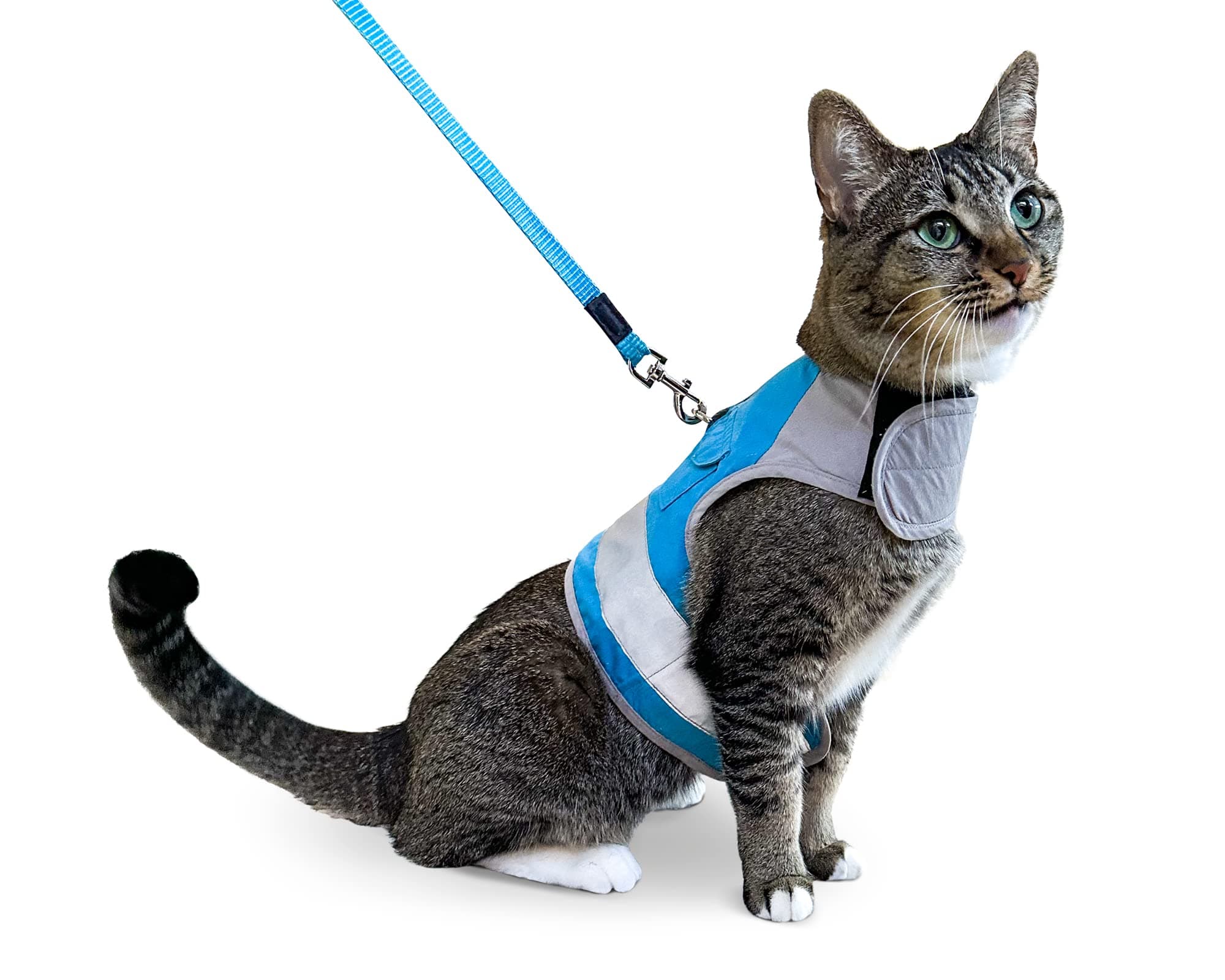 CAT SCHOOL Cat Harness and Leash Set for Outdoor Walks, Training, and Travel - Secure, Soft, Comfortable Cat Vest Harness with 10' Long Cat Leash - Easy to Use with Step-by-Step Instructions