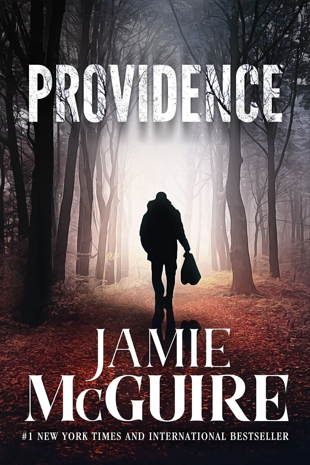 Providence (The Providence Series Book 1)