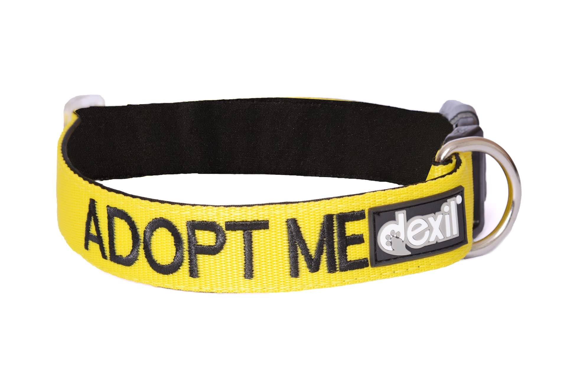 ADOPT ME (I Need A New Home) Yellow Colour Coded S-M L-XL Dog Collars PREVENTS Accidents By Warning Others Of Your Dog In Advance (L-XL)