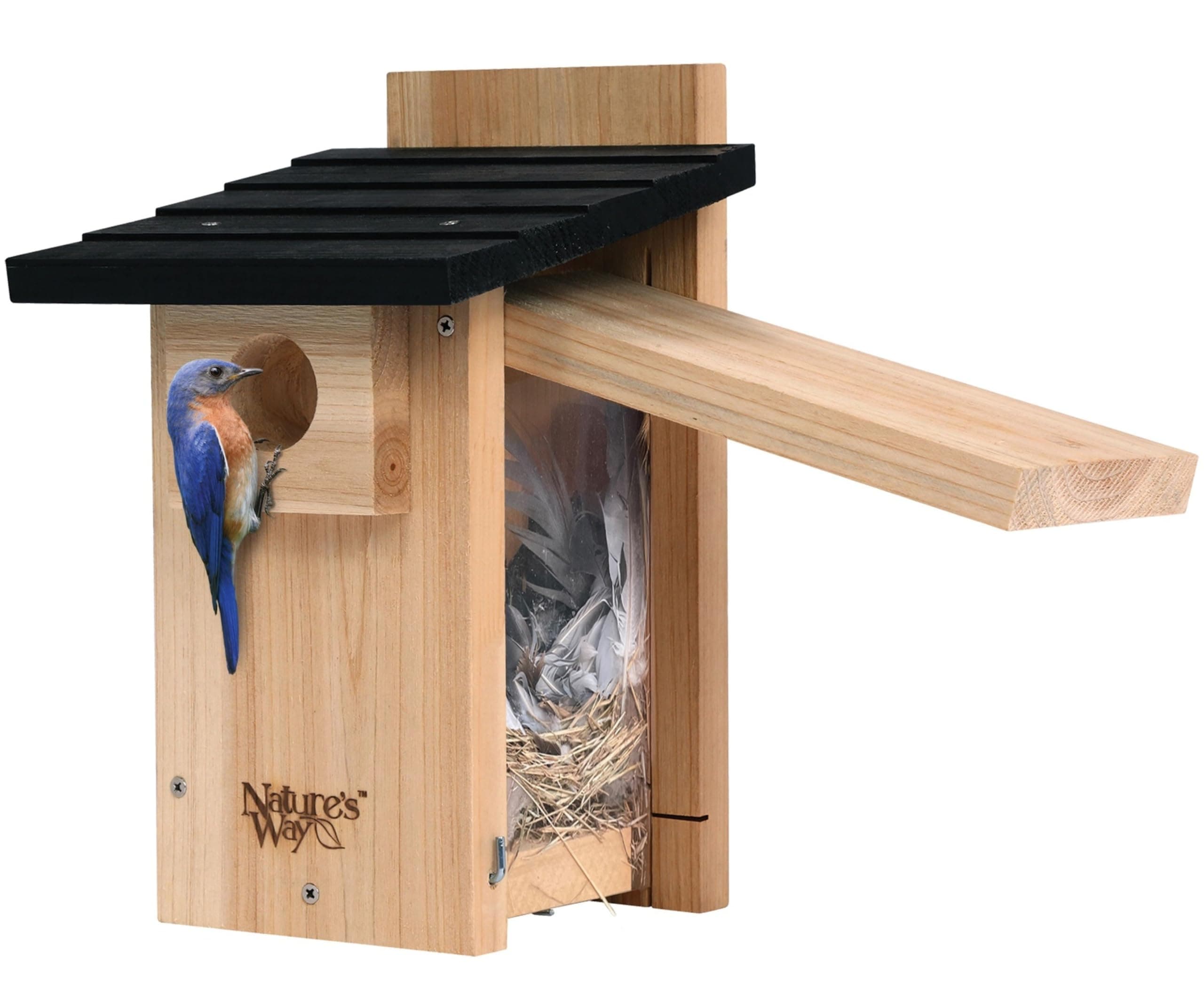 Nature's Way Bird Products CWH4 Cedar Bluebird Viewing House