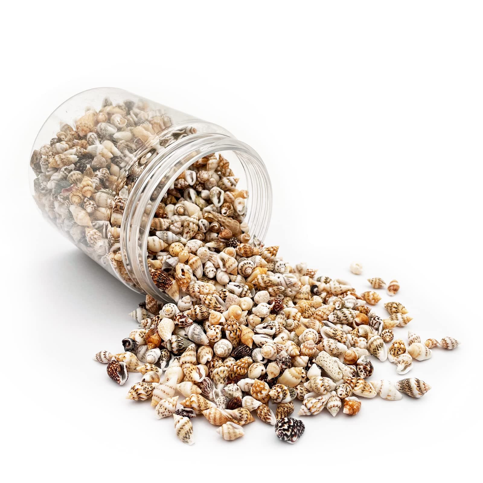 Tiny Sea Shells, Mixed 1500 PCS Ocean Small Beach Spiral Seashells Craft Charms for Home Decorations, Beach Theme Party, Candle Making, Wedding Decor, DIY Crafts, Fish Tank and Vase Filler