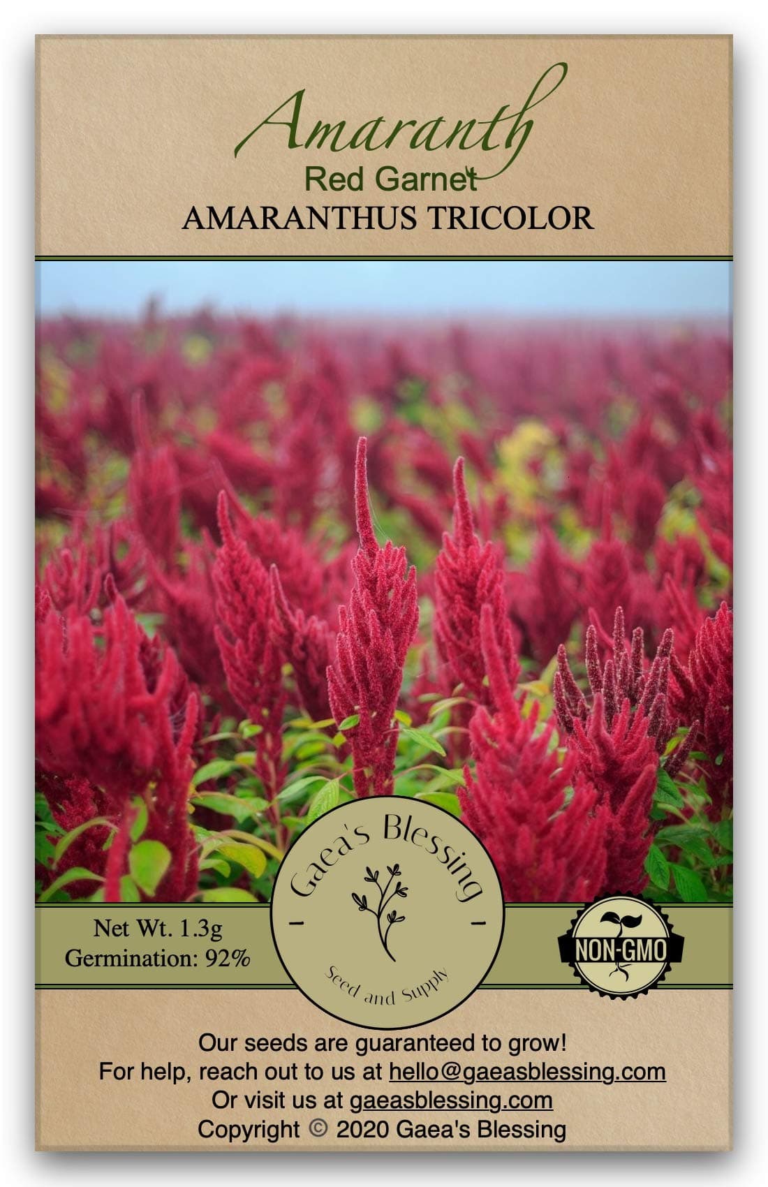 Gaea's Blessing Seeds - Amaranth Seeds - Red Garnet - Non-GMO Seeds with Easy to Follow Planting Instructions - Open-Pollinated - Untreated - Heirloom - 92% Germination - Net Wt. 1.3g