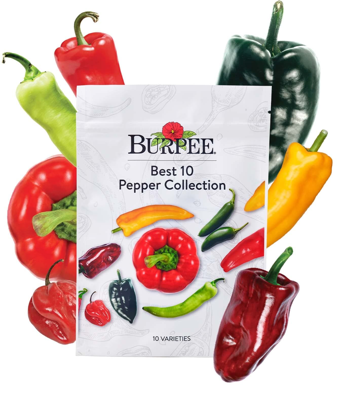 Best Collection | 10 Packets of Non-GMO Fresh Mix of Hot Pepper & Sweet Varieties | Jalapeno, Bell Pepper Seeds & More, Seeds for Planting