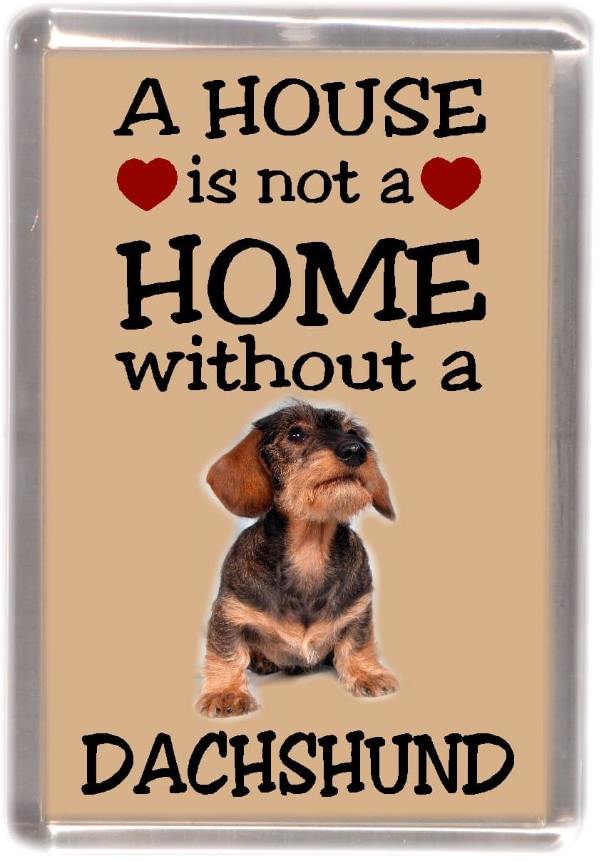 Dachshund Wire Haired Dog No. 4. Fridge Magnet"A House is Not a Home Without ."