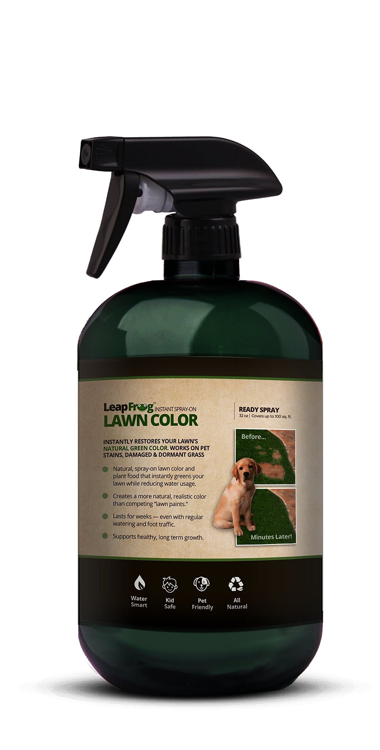 LeapFrog Lawns - 32oz Green Lawn Colorant & Instant Spot Treatment - Ready to Spray Grass Paint