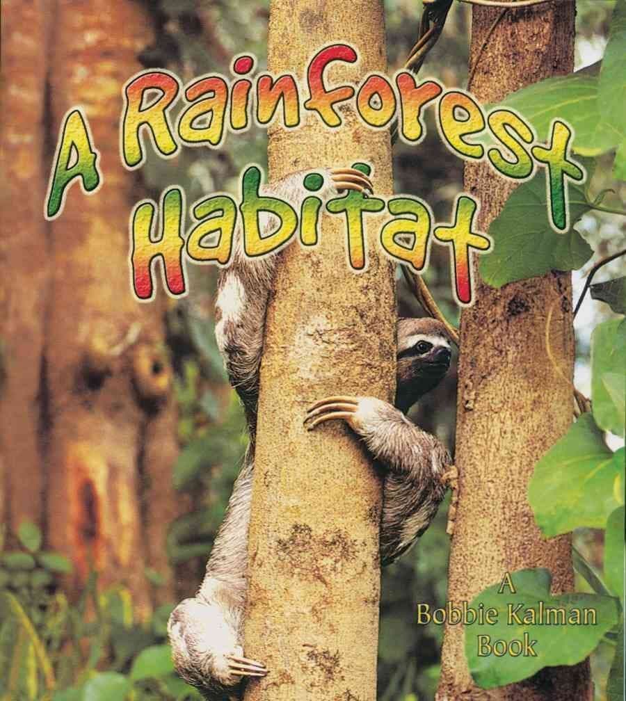 A Rainforest Habitat (Paperback) (Introducing Habitats)