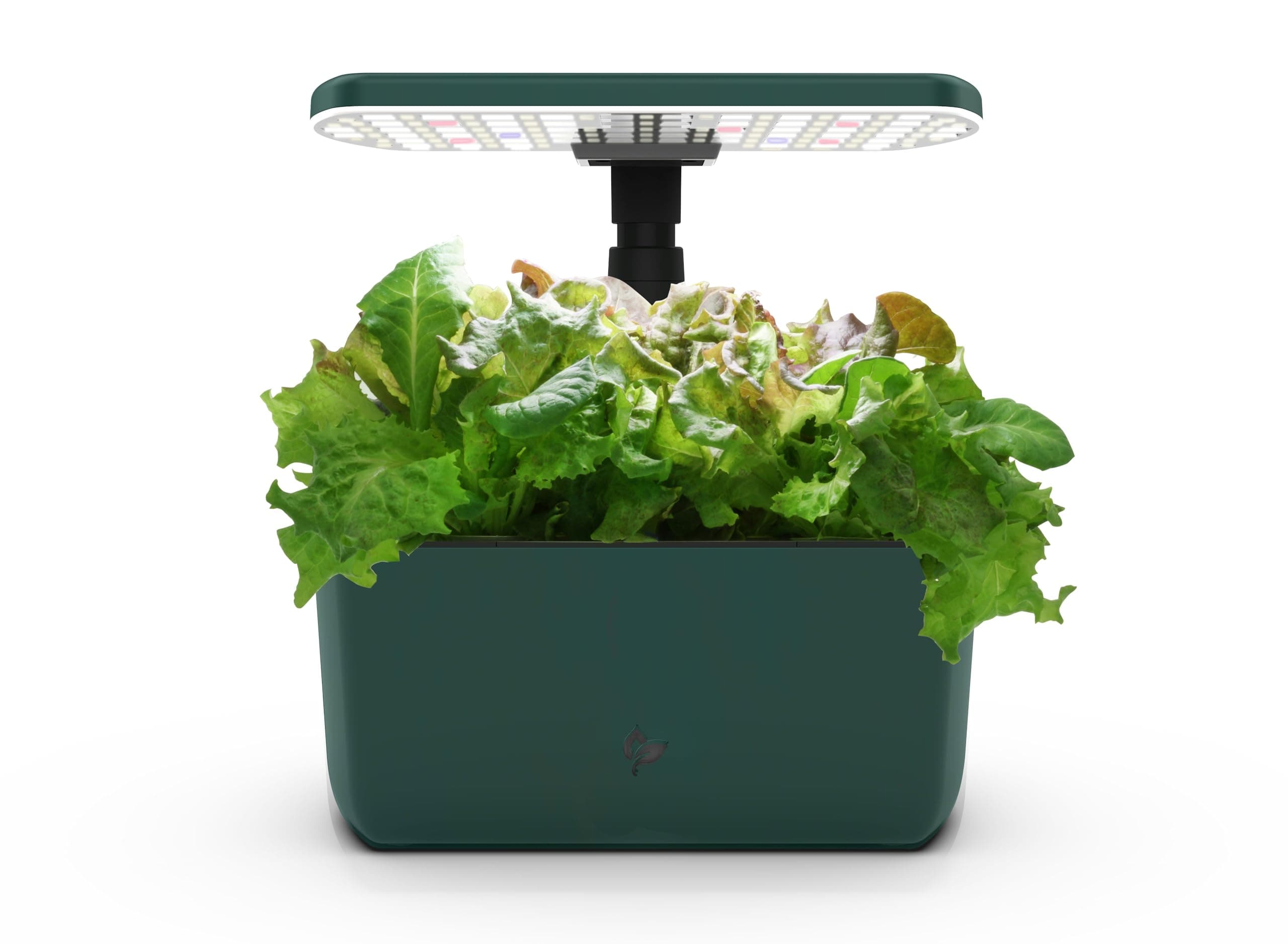 - AeroGarden Harvest Lite in Green, Soil-Free Indoor Hydroponic Garden with LED Grow Light for Year-Round Gardening of up to 6 Herbs and Vegetables