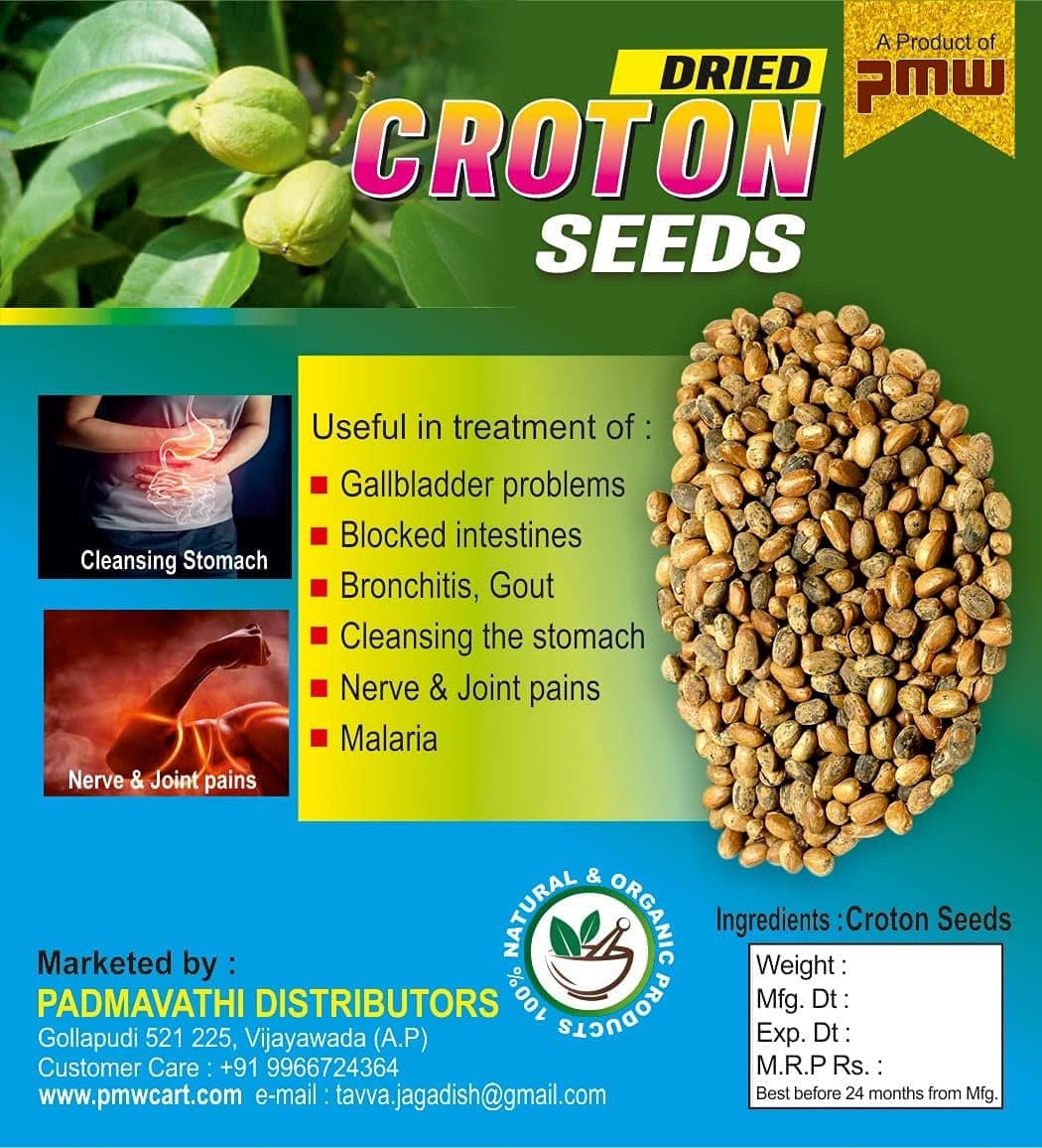 Pmw - Jamalgota - Croton - Croton Tiglium - Jamalghota Seed - 50 Grams