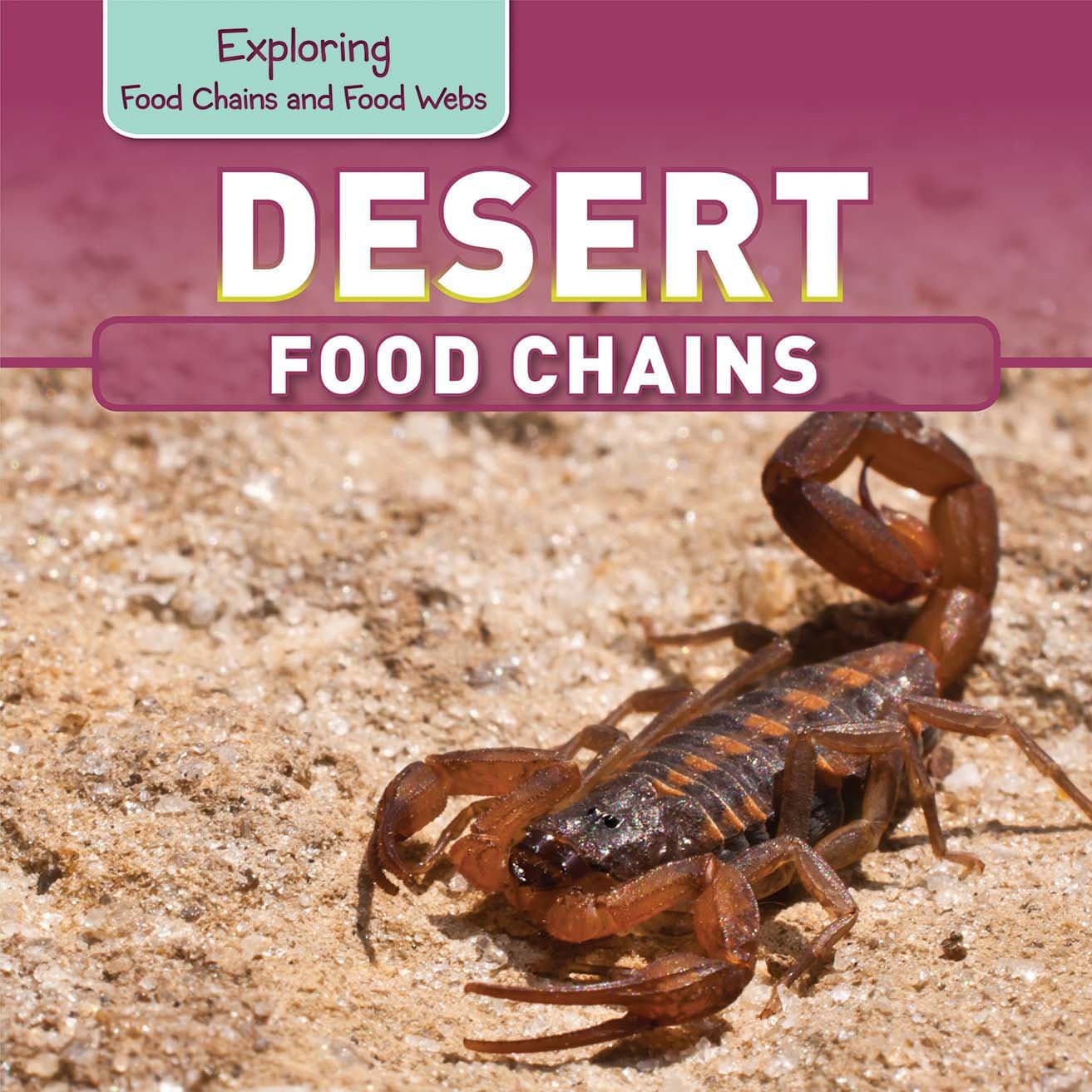 Desert Food Chains (Exploring Food Chains and Food Webs)