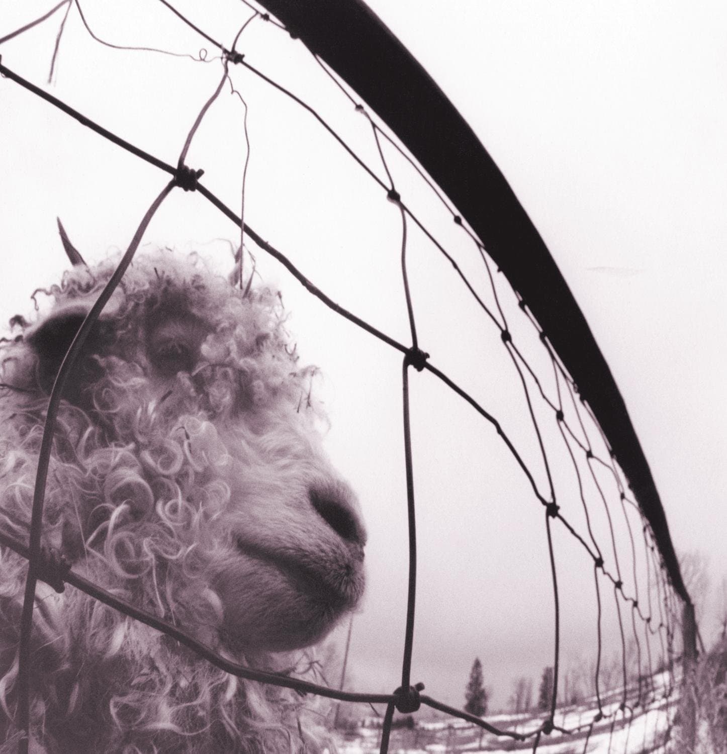 vs. Edition Remastered