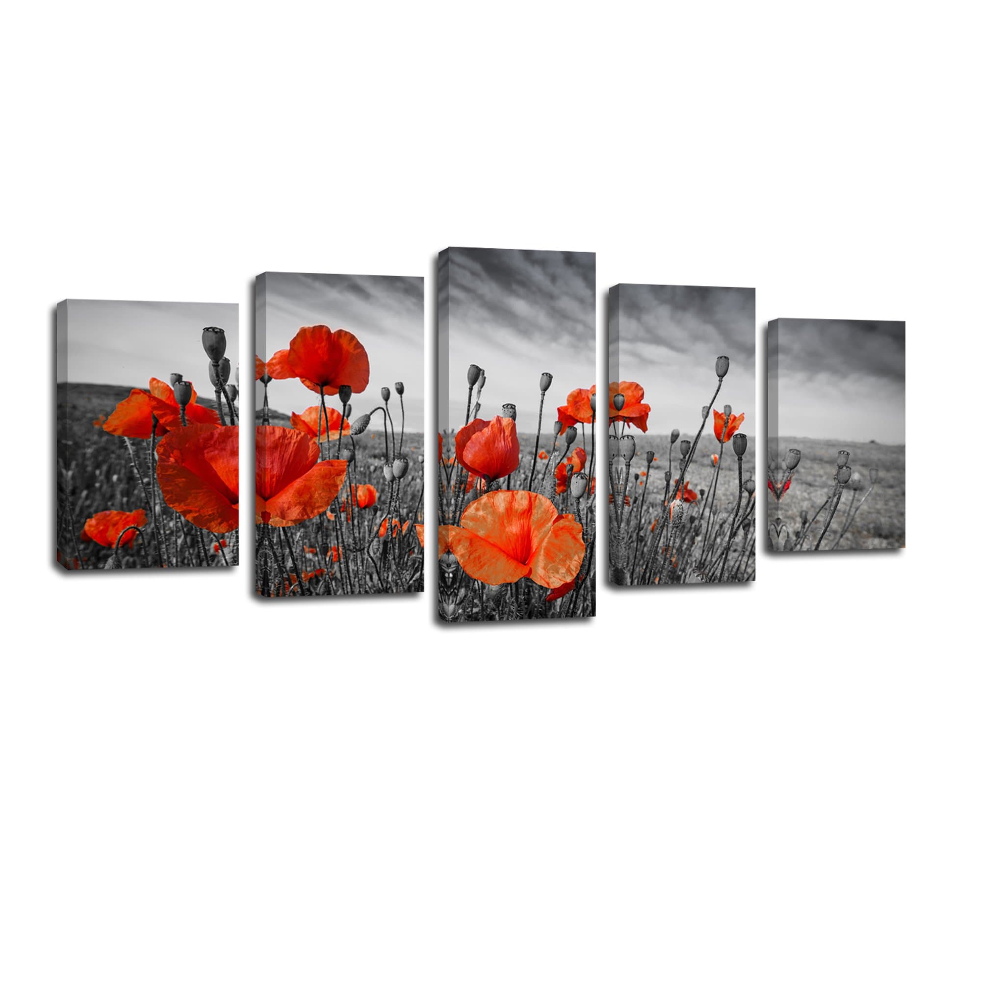Laiwang-5 Panels Landscape Giclee Canvas Print Ready to Hang Red Poppy Flowers Art Painting Prints On Canvas Framed Modern Wall Art for Living Room Bedroom Kitchen Office Home Decorations