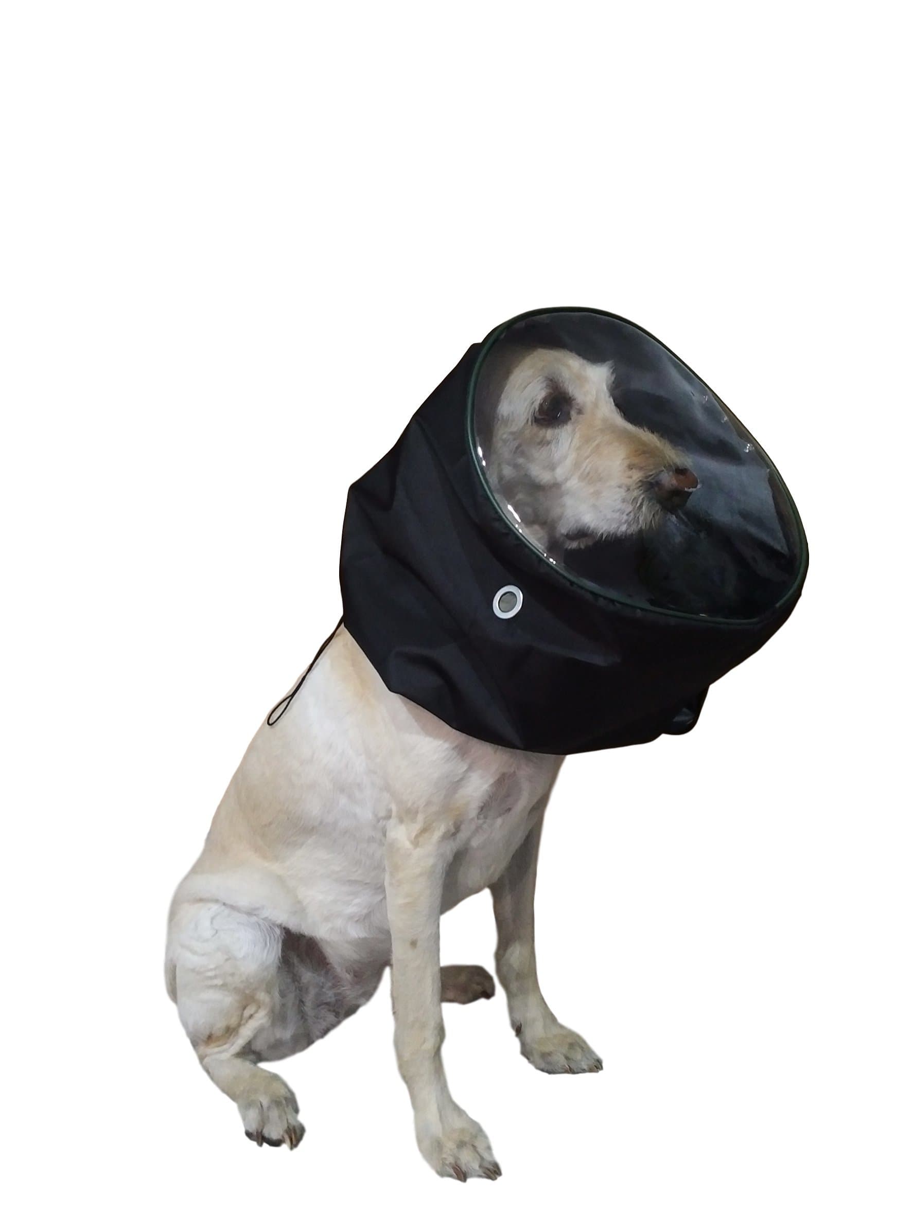 Oxygen Mask for Cats, Dogs, Rabbits, or Horses. for Oxygen Therapy, Administering Inhaled Medicine, or Treating Asthma. Recommended by Vets. (Small)