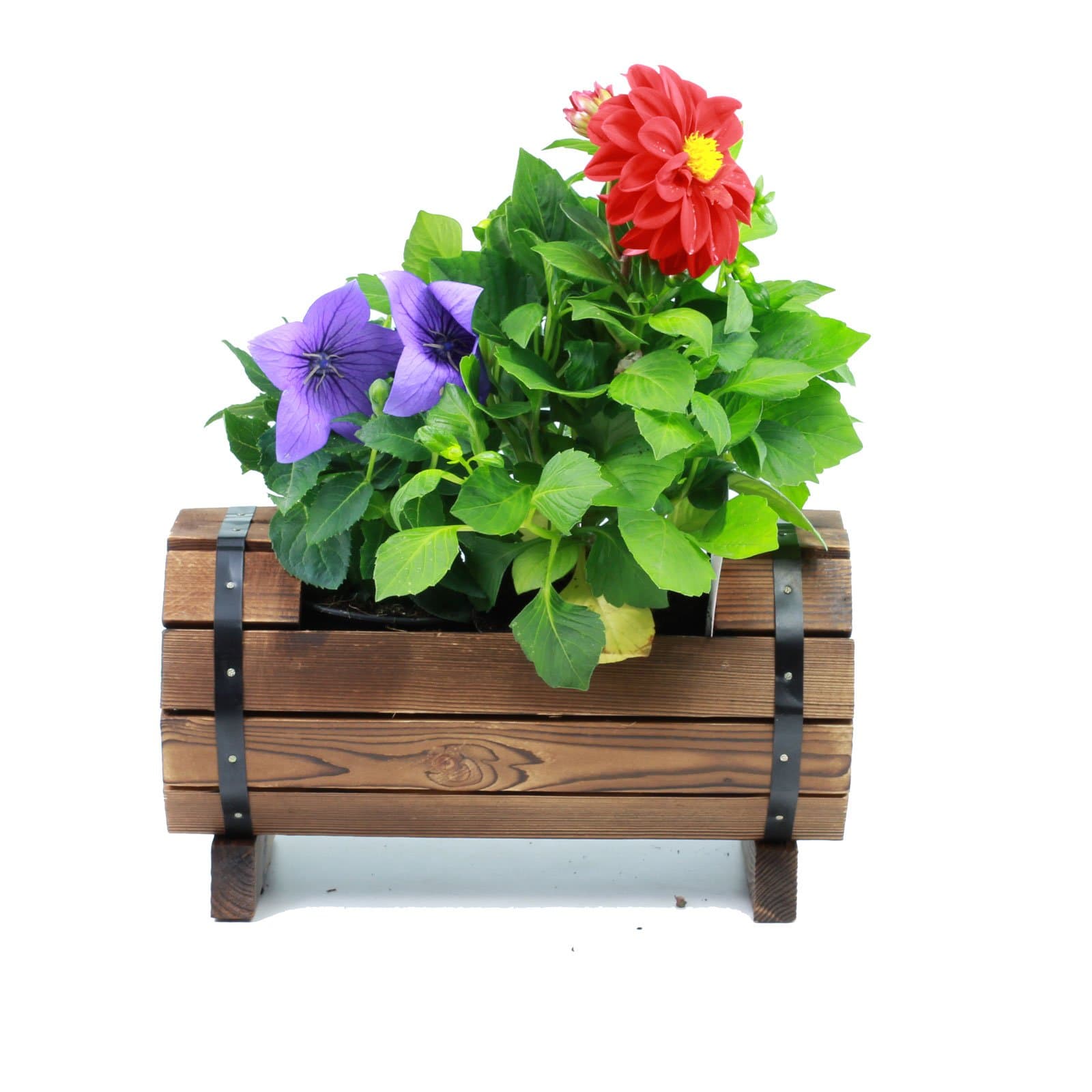 GOLDBEARUK Barrell Style Planters Natural Wood with Cast iron - 3 sizes (Small)