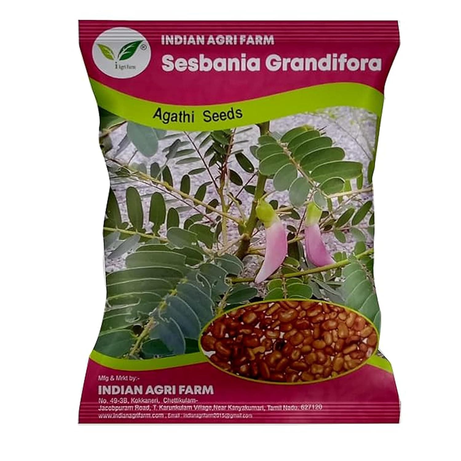 Sesbania/Agathi/Gaach Munga/August Tree/Humming Bird Tree Seed - 500 gram for Cultivation