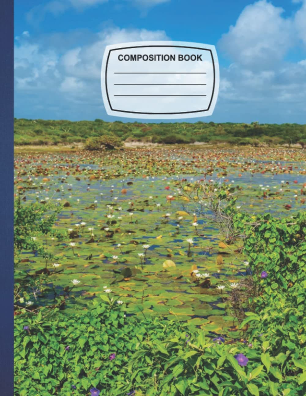 Composition Notebook: Liros en Cozumel Blank Wide Ruled Paper Notebook Matte Wide Lined Workbook Journal for Kids Teens Students Girls Boys Cute.