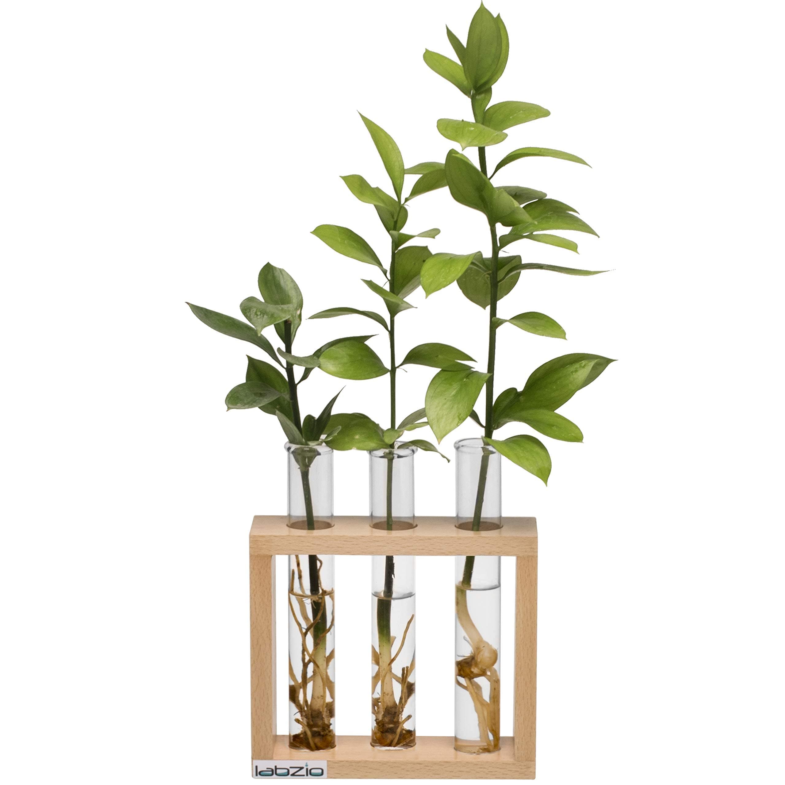 Wooden Flower Vase – Handcrafted Decorative Stand with 3 Borosilicate Glass Test Tubes – Elegant Diwali Home & Office Decor, Festive Floral Display, Pooja Room & Wedding Gift