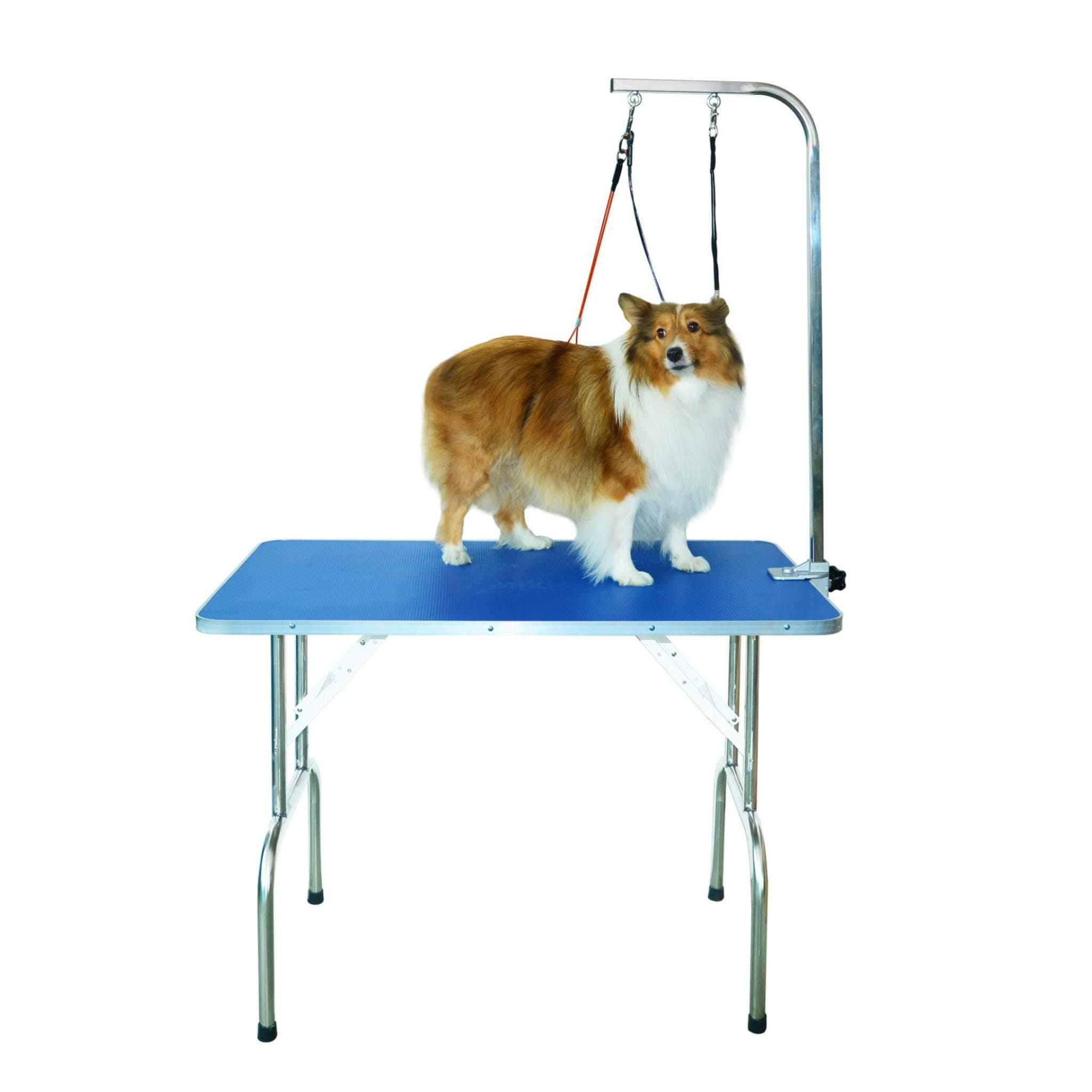 Gravitis Pet Supplies Professional Dog Grooming Table – A sturdy, portable folding table for grooming for small and medium pets