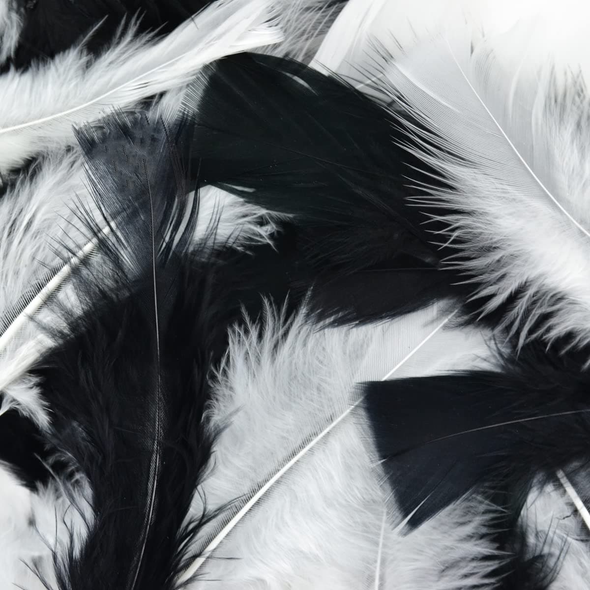 Touch of Nature Turkey Flat Feathers 14GM 4-6" Black/White 1pkg