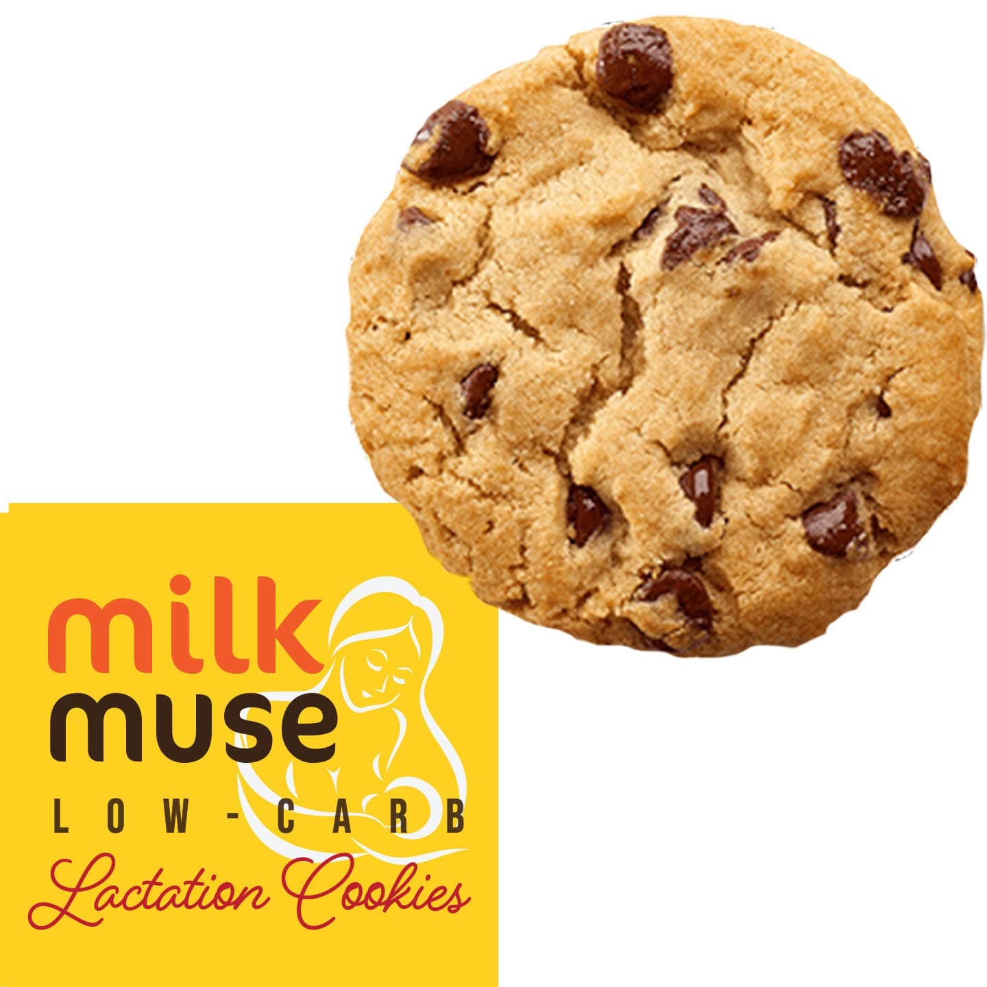 Keto Lactation Cookies MilkMuse Low-Carb – No Sugar, Gluten Free Snacks to Increase Milk Supply | with Almonds, Coconut, Brewer’s Yeast & Fennel - Box with 6 packs, 12 Cookies (Chocolate Chip)
