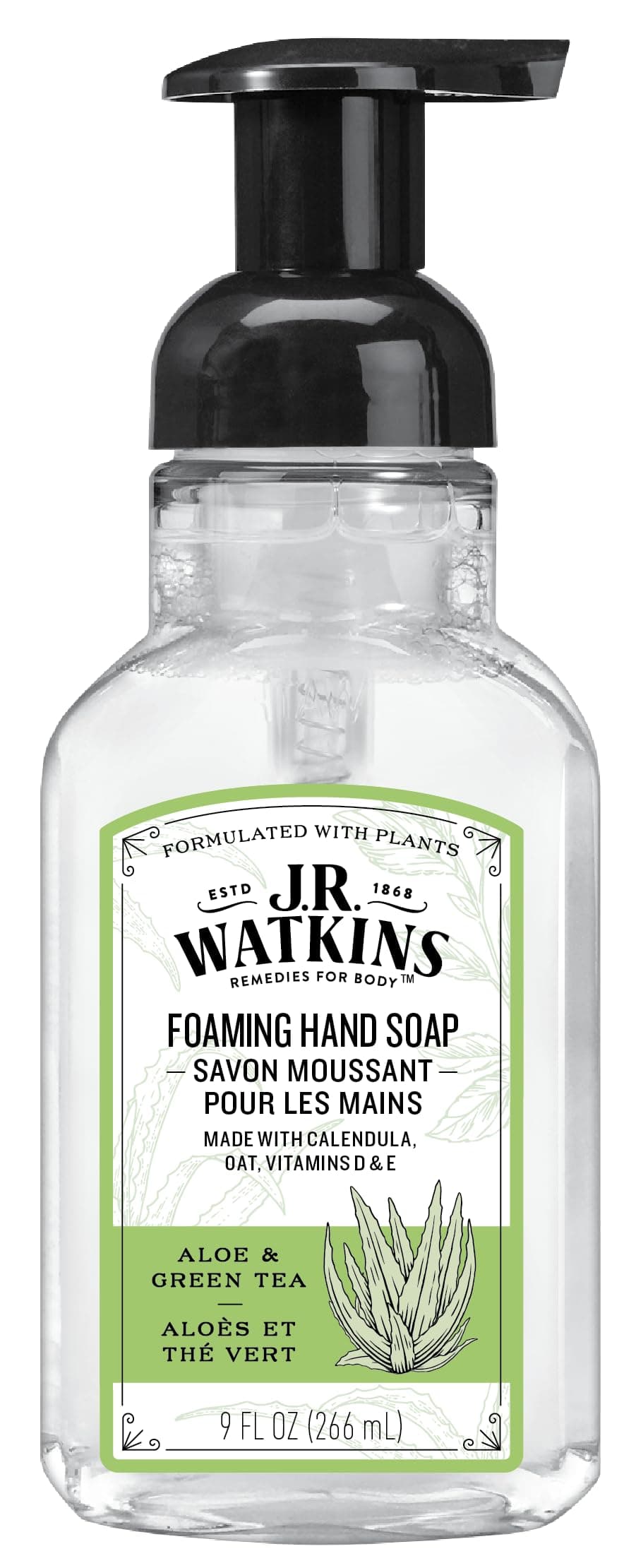 J.r. Watkins Foaming Aloe & Green Tea Hand Soap(6x9 Oz)