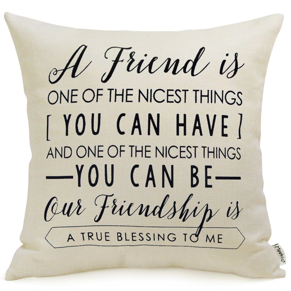 Meekio Friendship Gifts Decorative Throw Pillow Covers 18" x 18" with Friend Quotes, Gifts for Women