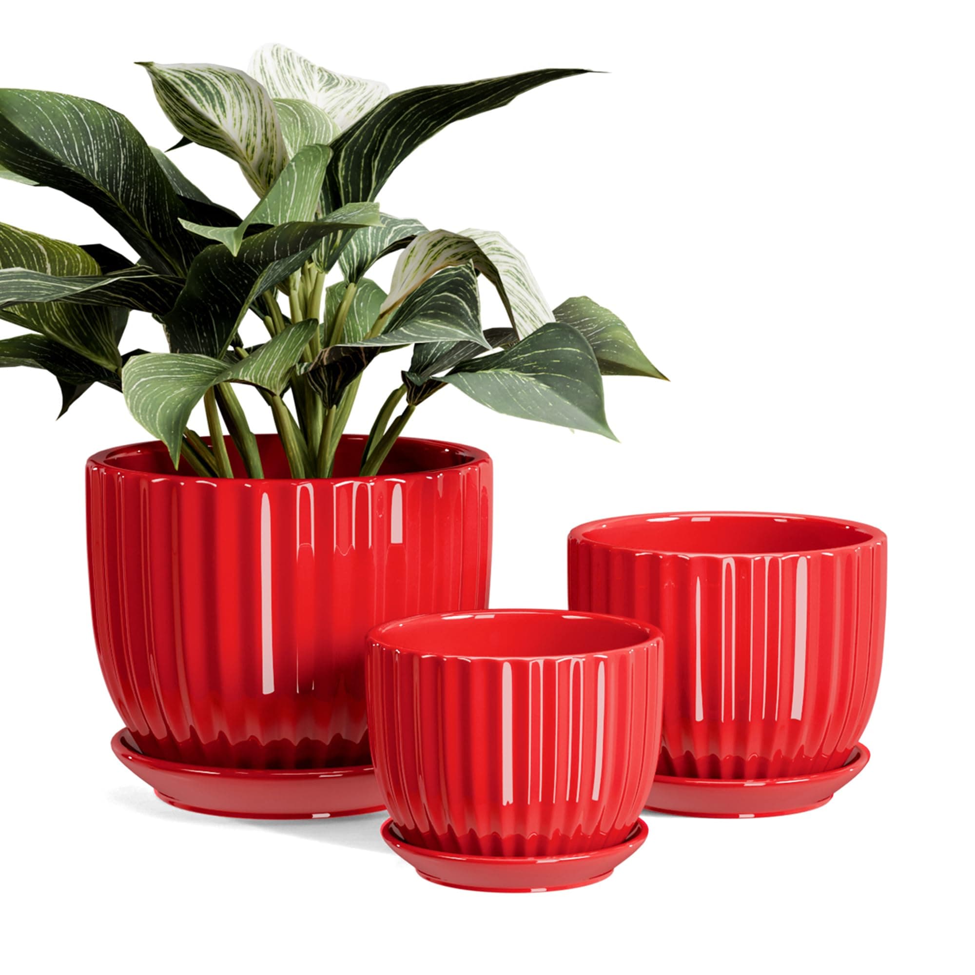 Ton Sin Ceramic Plant Pots - 4/5/6 Inch Red Planters Set of 3 with Drainage Holes and Saucer - Decorative Indoor Flower Pots for Plants - Modern Ceramic Planters for Indoor Gardening Succulent Pots