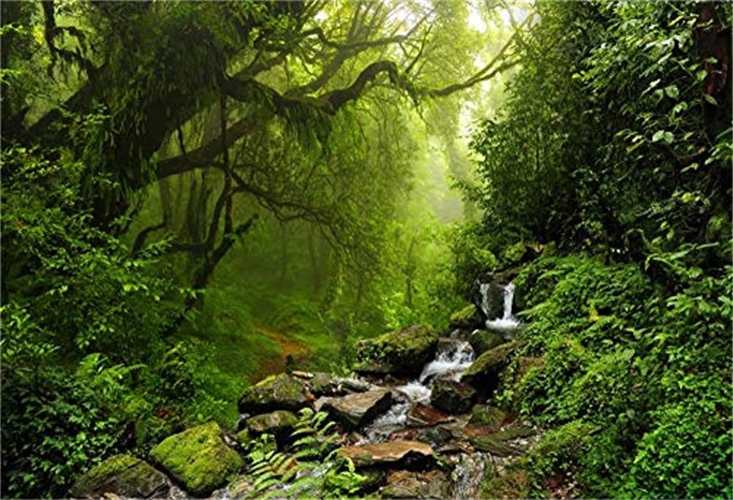 10x8ft Graceful Natural Scenery Backdrop Evergreen Forest Jungle Rock Flowing Mountain Stream Rainforest Photography Background Birthday Party Events Photo Studio Props