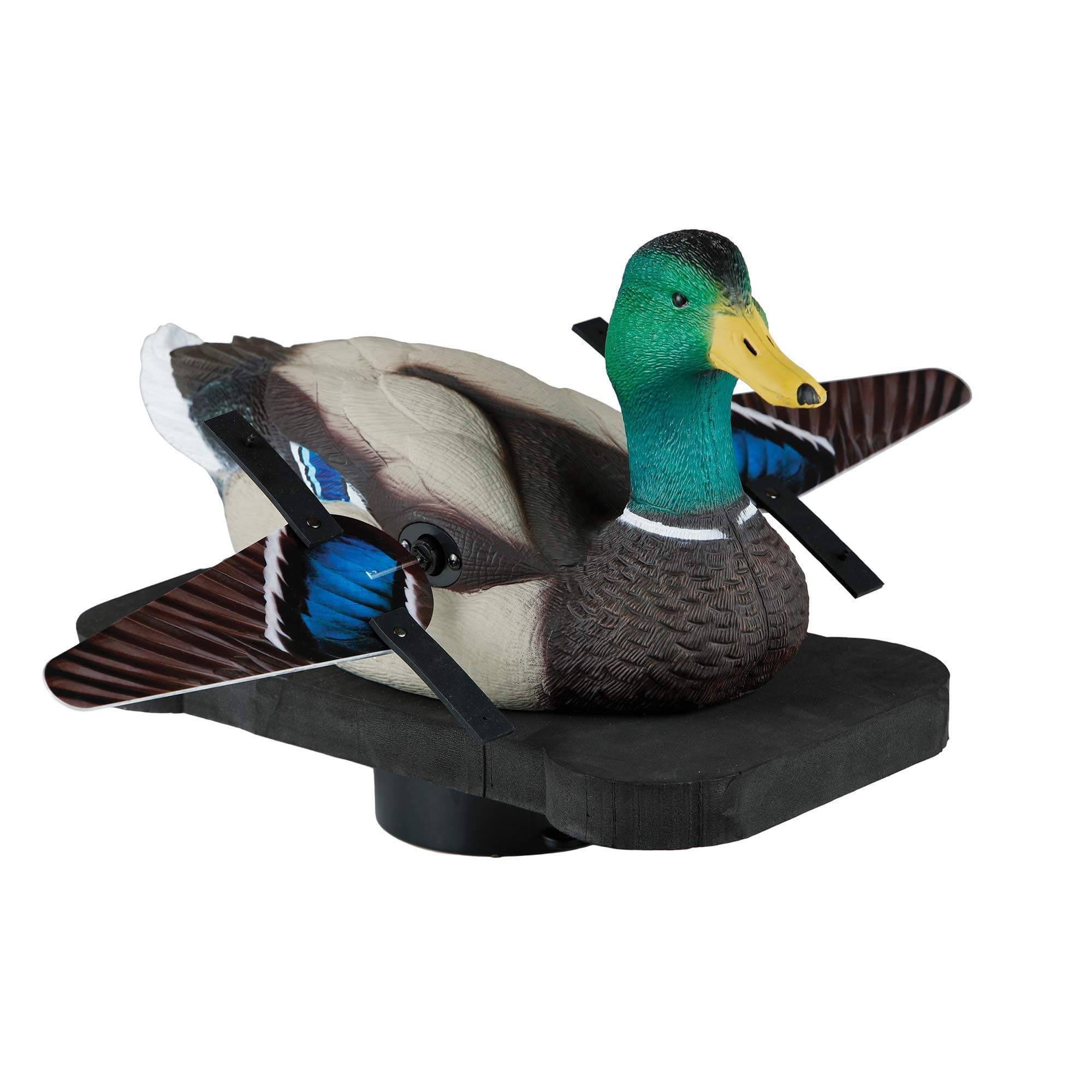 Lucky Duck Lucky Splasher