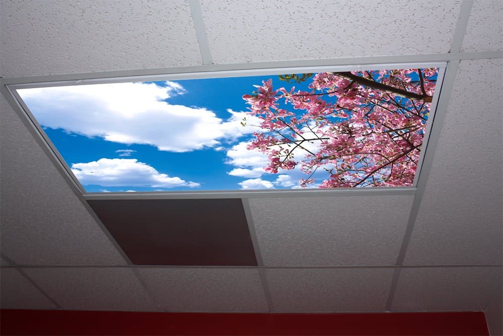 Pink Tree Skypanels - Replacement Fluorescent Light Diffuser