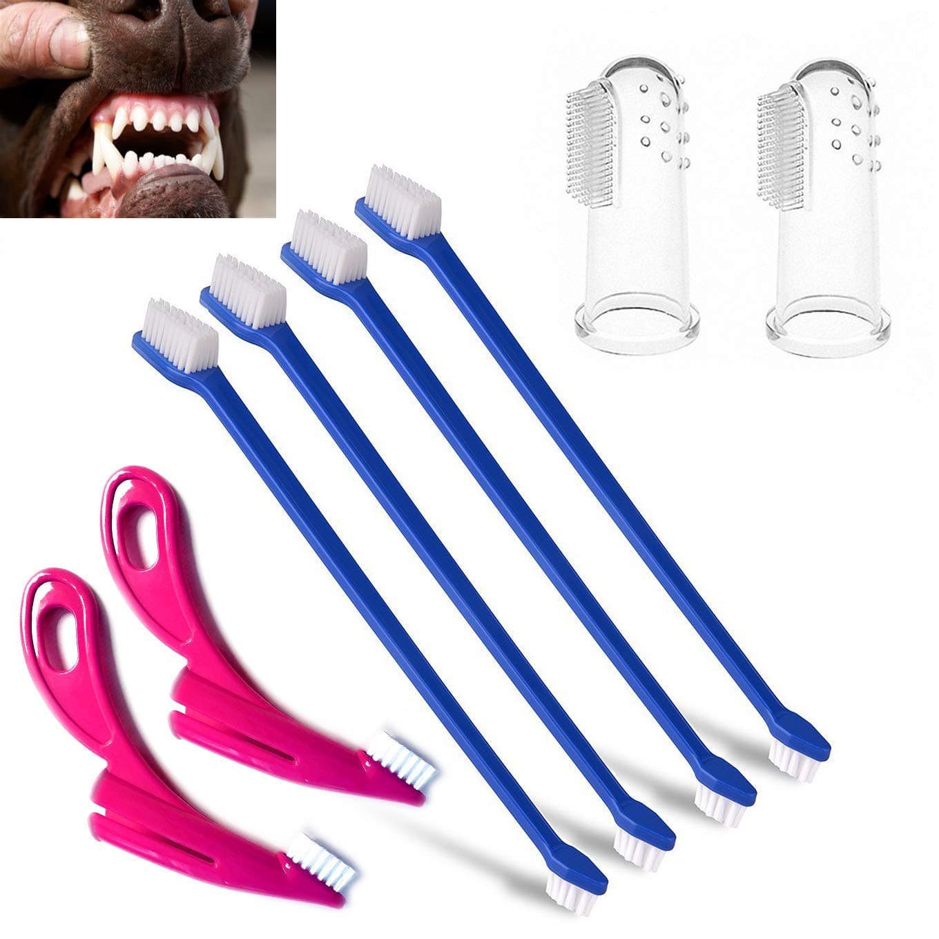 ASNME Dog & Toothbrush Set, 4 Pack Finger Toothbrushes and 4 Mini Long Handle Dual Headed Toothbrush for Dogs