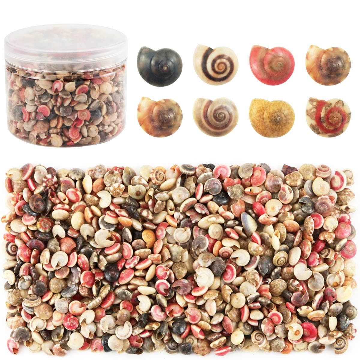 500pcs Tiny Sea Shells Mixed Ocean Beach Conch Craft Charms for Home Decorations, Beach Theme Party, Candle Making, DIY Crafts, Fish Tank and Vase Filler(6-8mm)
