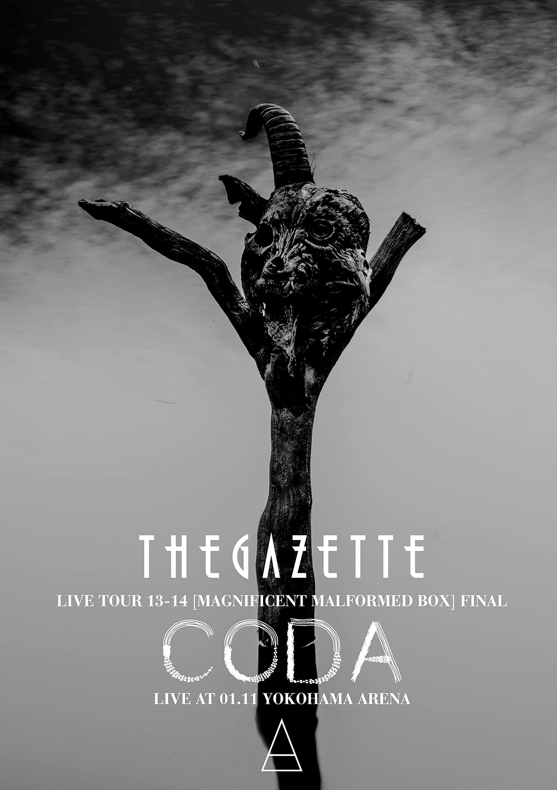 the GazettE LIVE TOUR13-14 (MAGNIFICENT MALFORMED BOX) FINAL CODA LIVE AT 01.11 YOKOHAMA ARENA (BD) (特典なし) [Blu-ray]