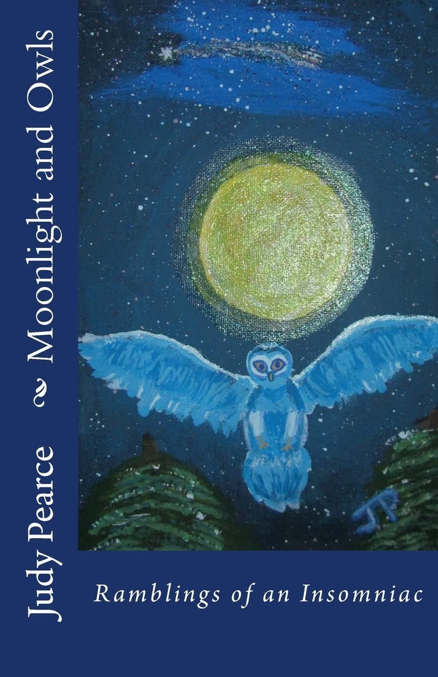 Moonlight and Owls: Ramblings of an Insomniac