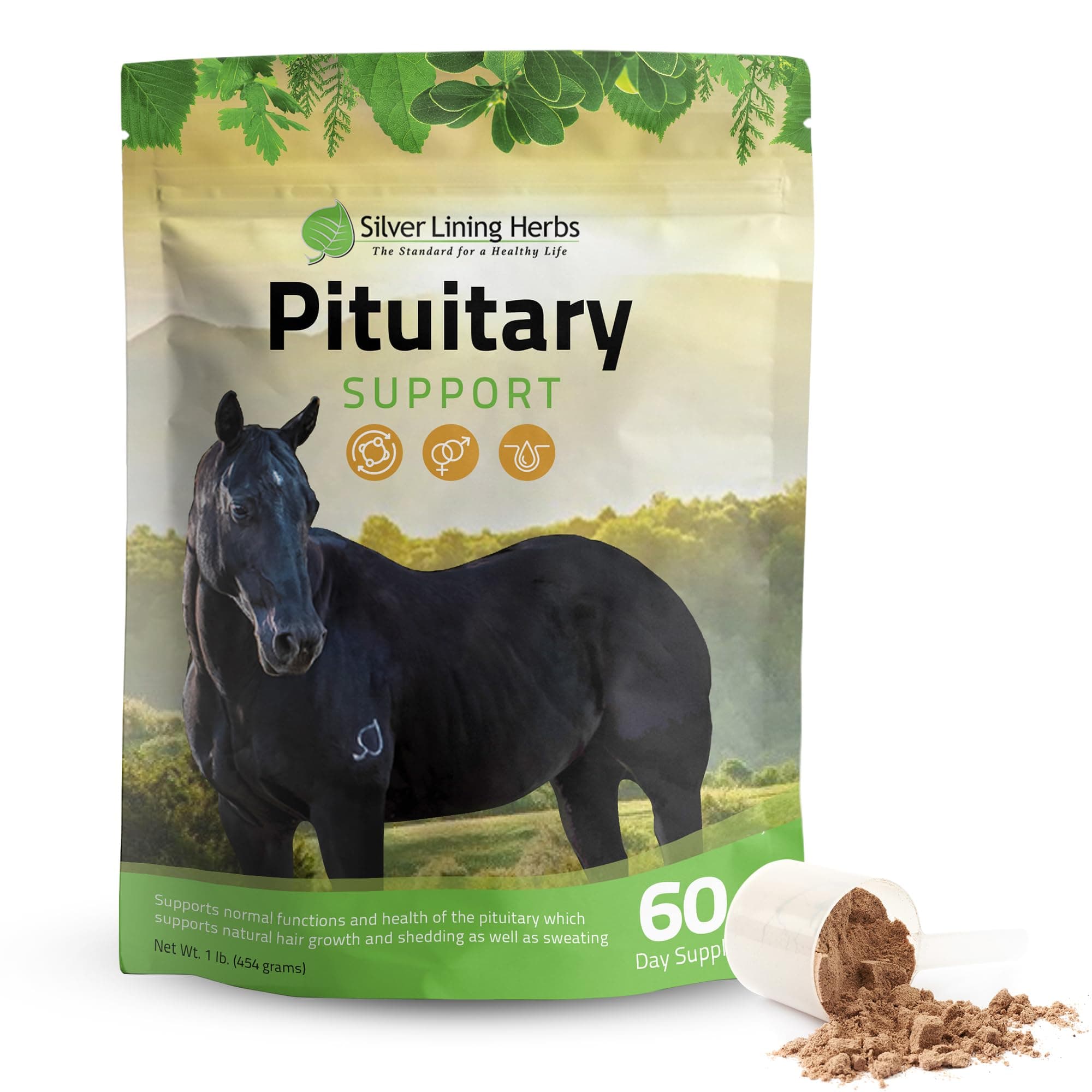 Silver Lining Herbs Pituitary Gland Supplements for Horses - Horse Supplements for Equine Metabolic Support, Cushing’s, Sweating & Shedding Issues - Mood & Energy Horse Supplement - 1 lb 60-Day Supply