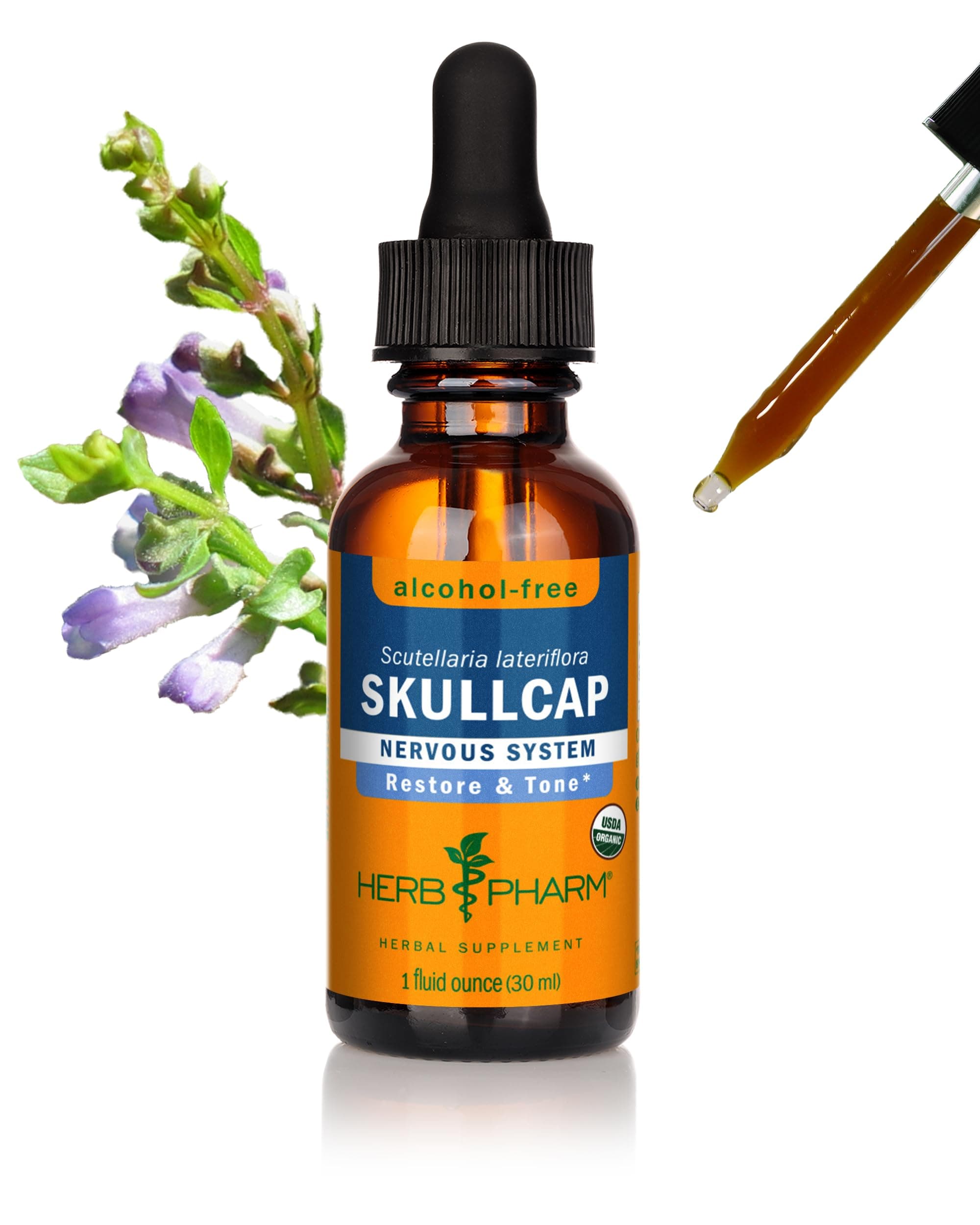 Certified Organic Skullcap Liquid Extract for Nervous System Support, 1 Fl Oz