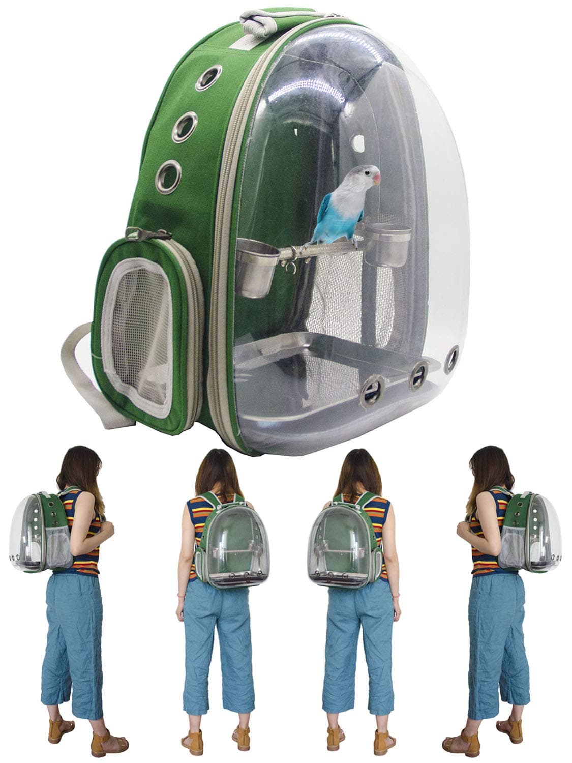 SHANTU Bird Small Parrot Carrier - 360°Sightseeing Bird Space Capsule Parrot Travel Backpack with Stainless Steel Stand Perch and Cups for Travel Outdoor Activity(Green)