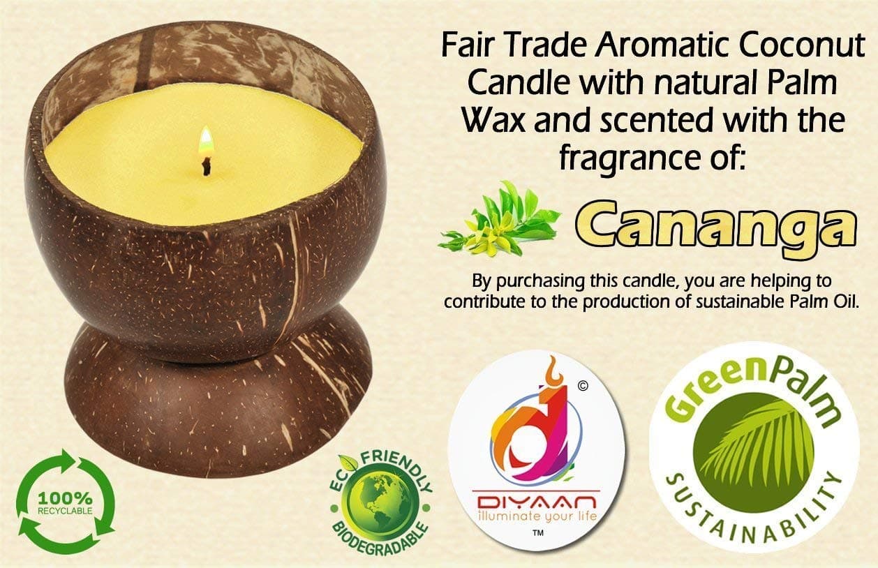 Diyaan 100% Natural Handmade Coconut Shell Candle with Sweet Spicy Aroma of Cananga (Ylang Ylang) Fragrance
