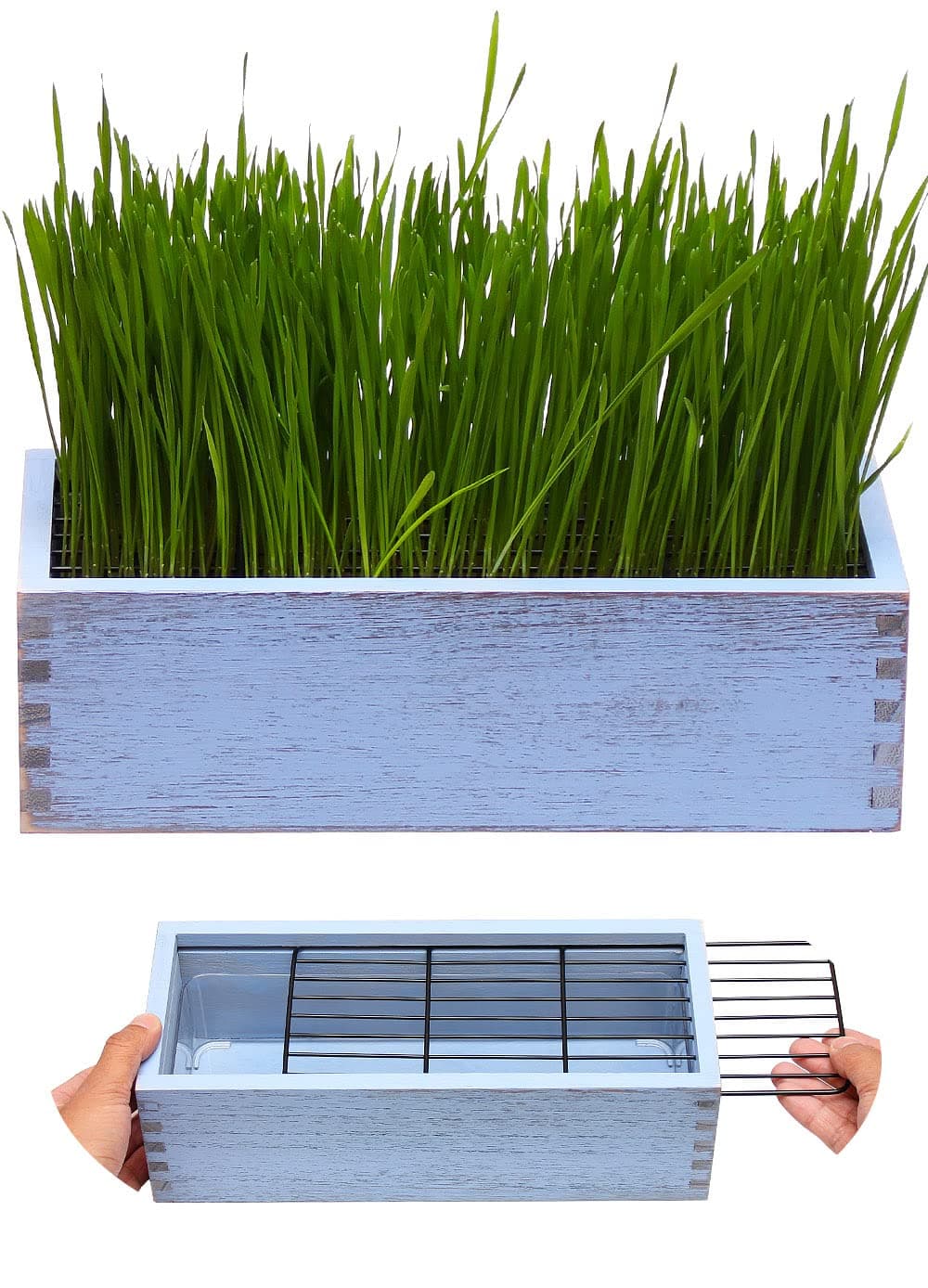 Wooden Cat Grass Planter (no Seeds Included) with Anti Digging Design, and Removable Plastic Liner, Wheat Grass Growing Pot, Cat Grass for Indoor Cats Pets (Vintage Blue)
