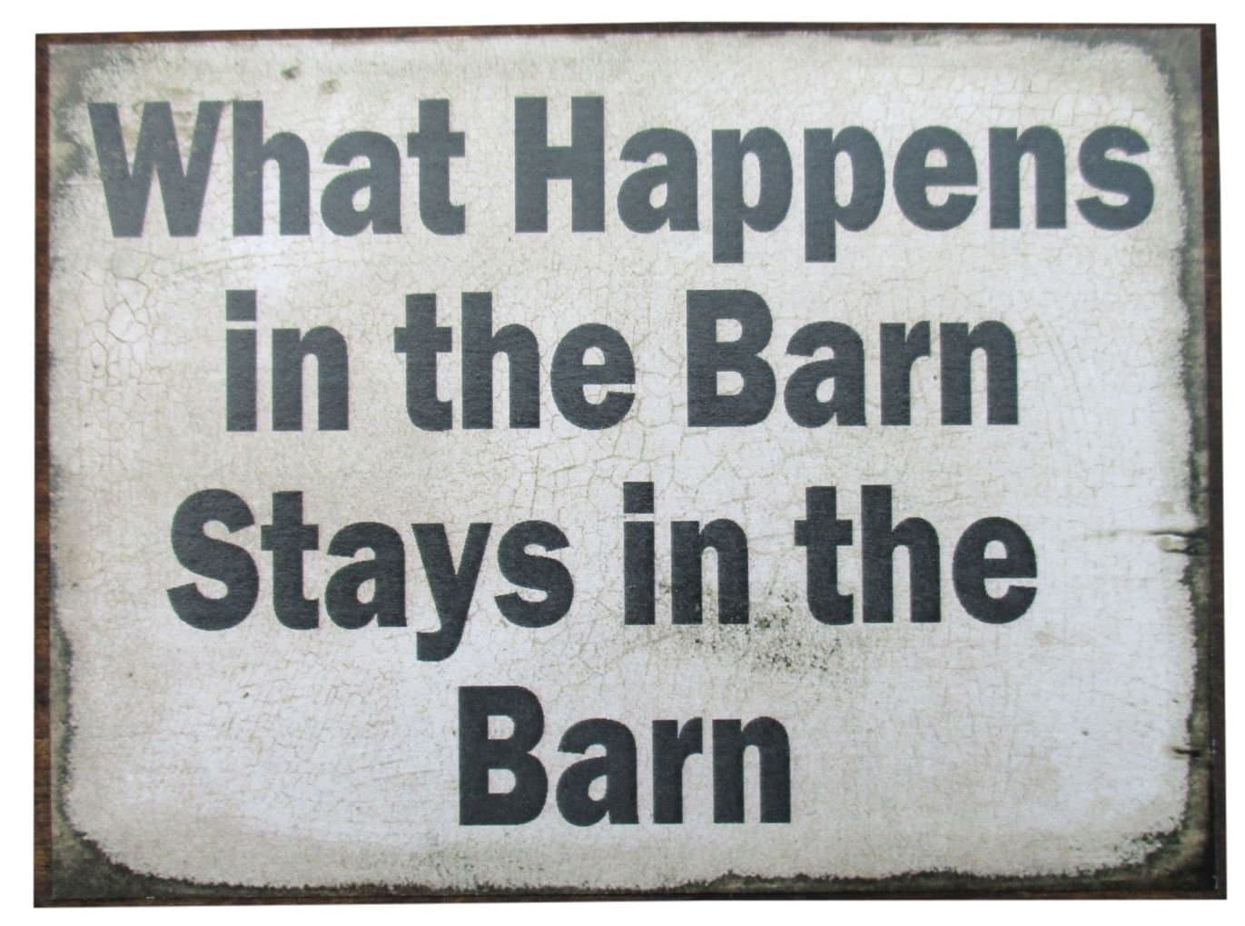 Farmisms 4x3 Inspirational Wooden Rustic Country Signs for Country Farm Living -What Happens in The Barn Stays in The Barn