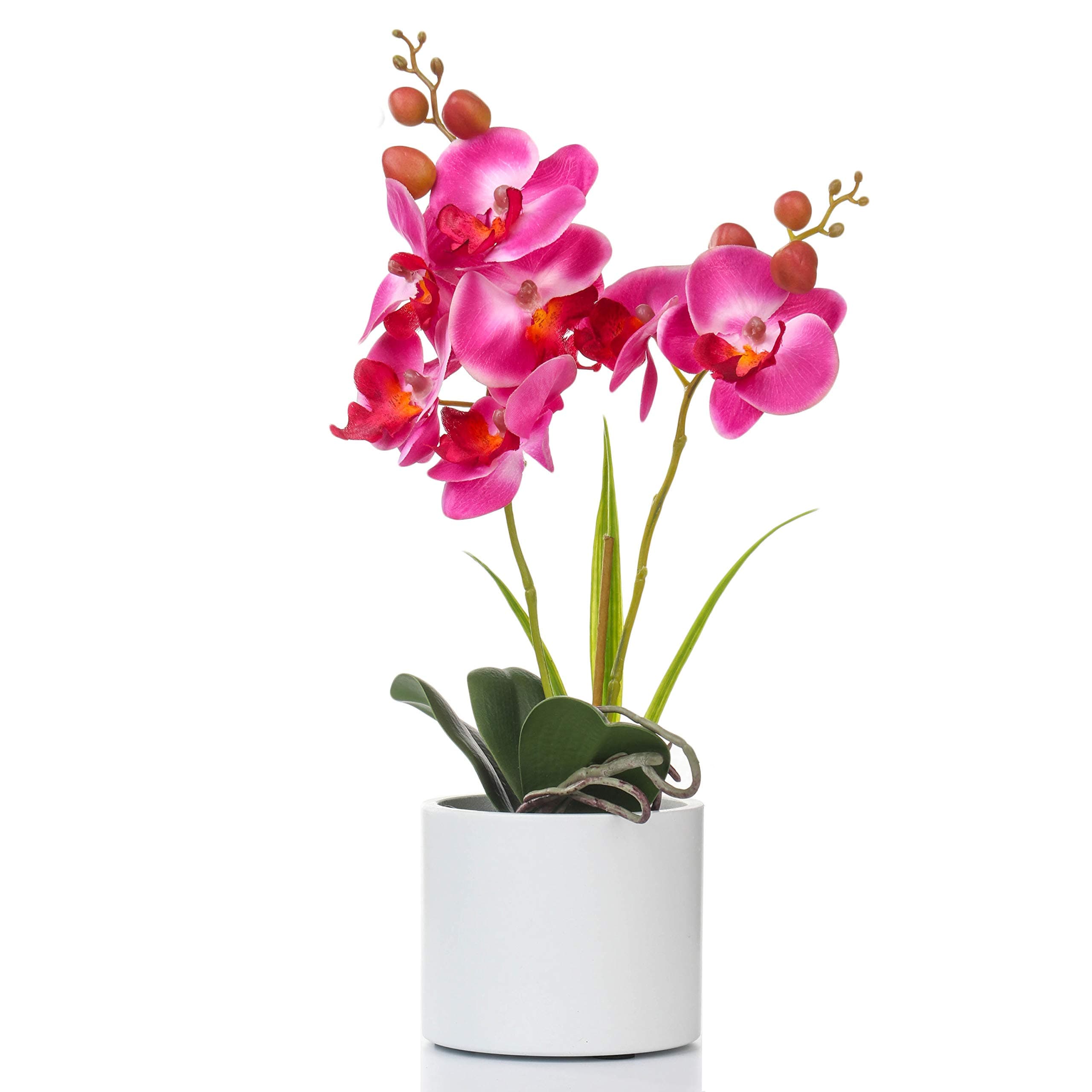 Jusdreen Artificial Purple Orchid, Phalaenopsis in Ceramic Pot with Vase for Home Office Table Decor, Flower Centerpiece