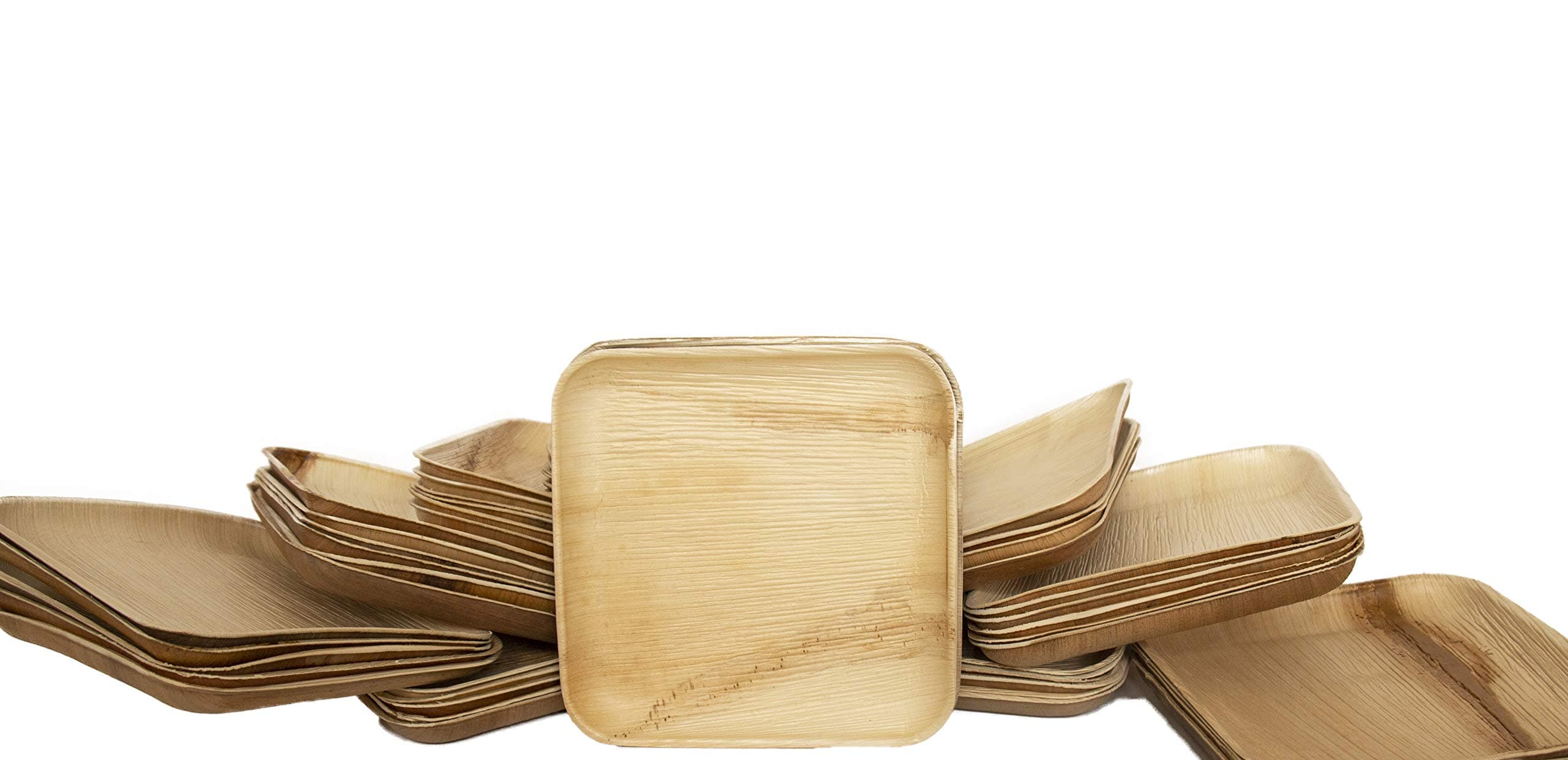 Disposable Party Plates Square 8" [200] Eco Friendly Palm Leaf Plates Biodegradable For Party,BBQ,Camping,Wedding | Bamboo Plates Disposable Compostable Rustic Party Plates