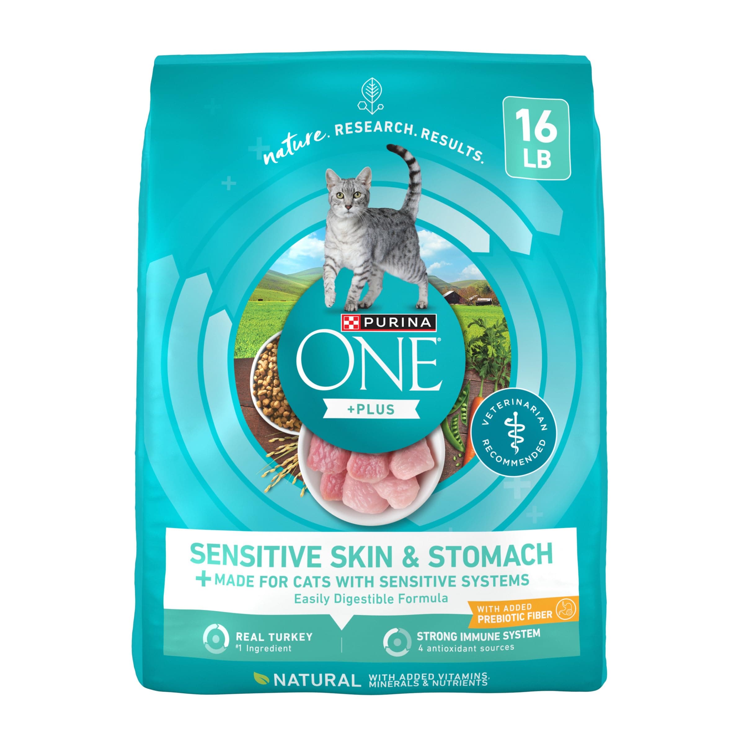 Purina ONE Sensitive Stomach, Sensitive Skin, Natural Dry Cat Food; Sensitive Skin & Stomach Formula - 16 lb. Bag