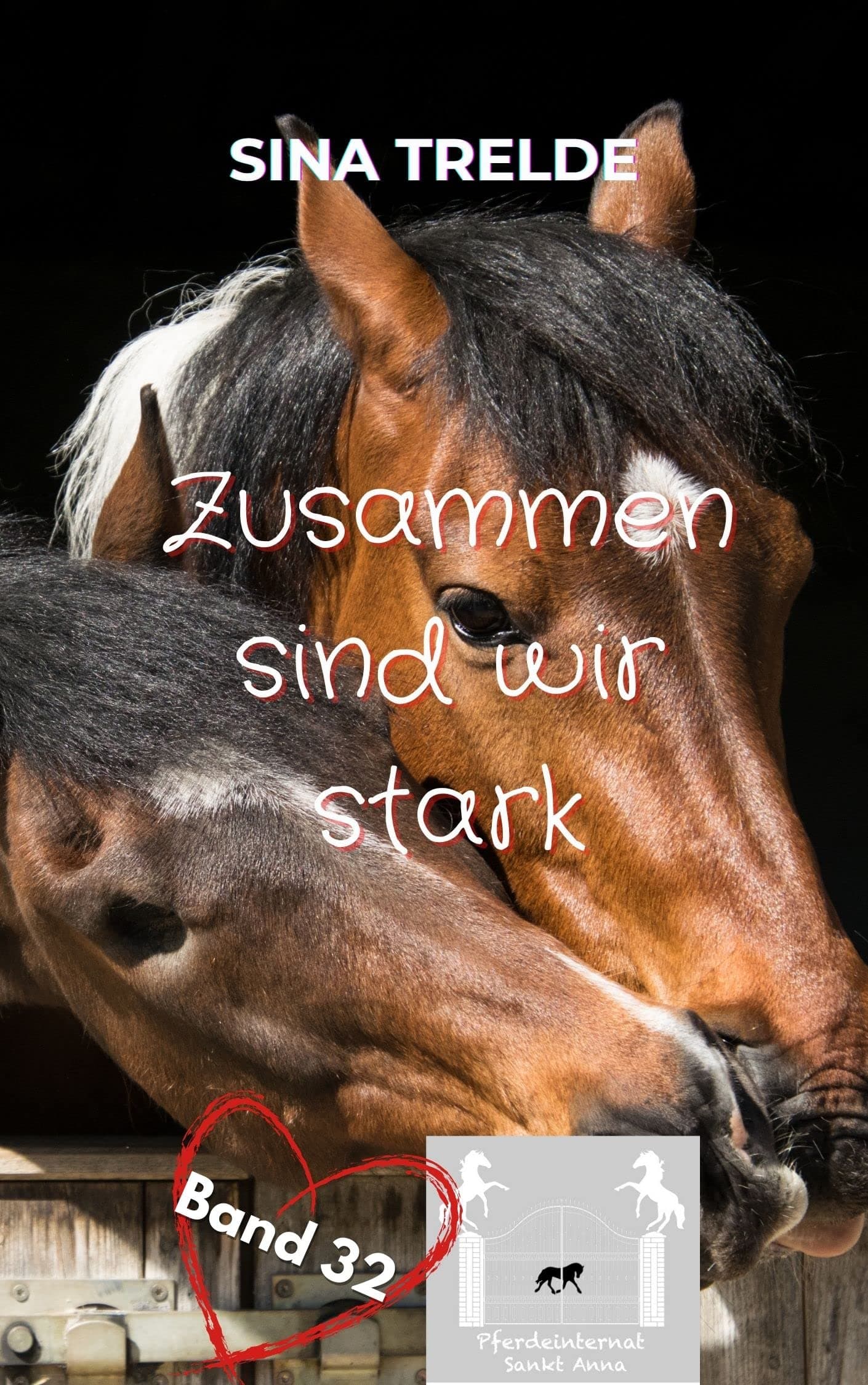 Zusammen sind wir stark (Pferdeinternat Sankt Anna 32) (German Edition)