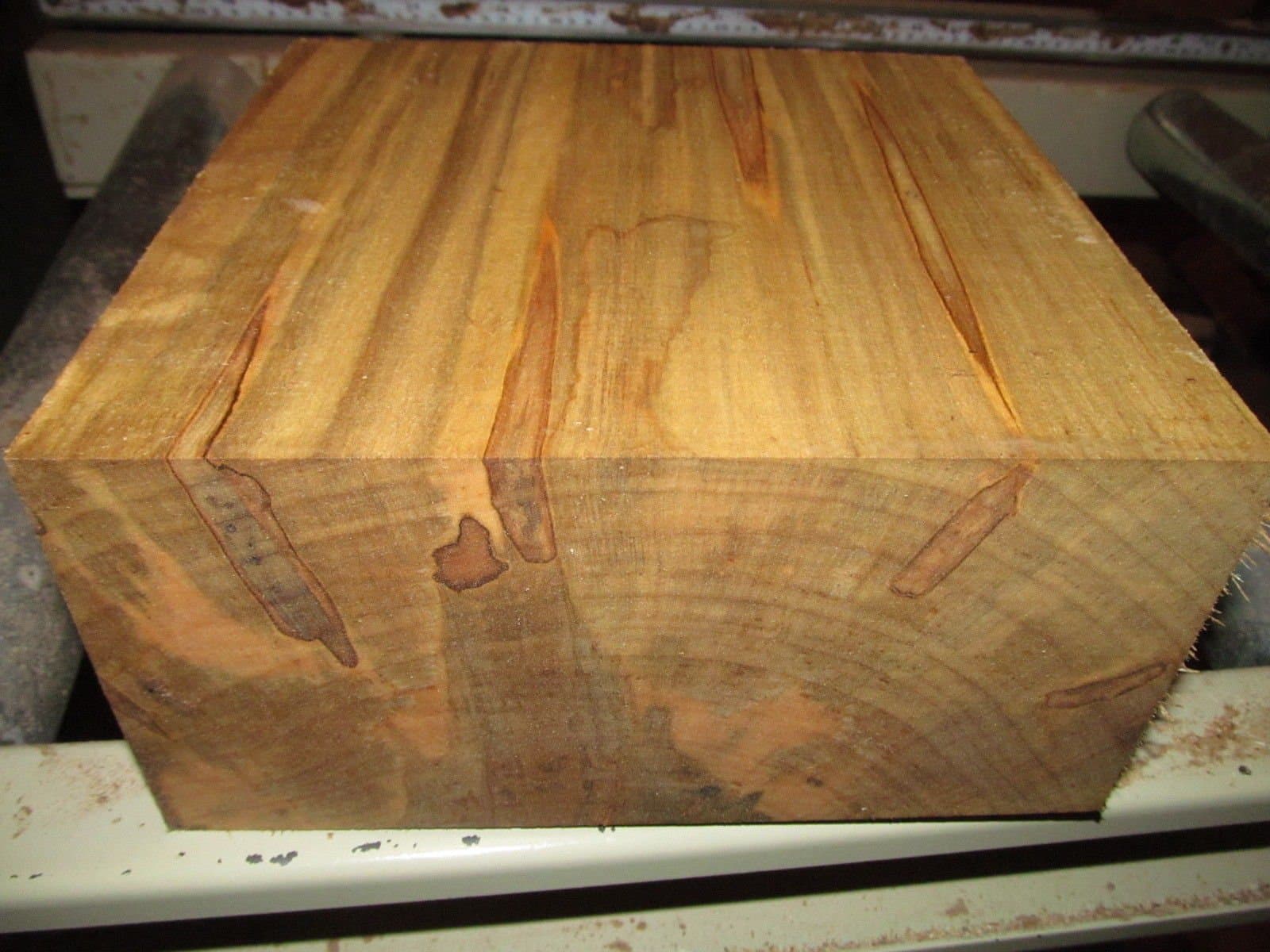 Egytree One Thick 8" X 8" X 4" Ambrosia Maple Bowl Blank Turning Block Lumber Processed Green and Completely Sealed with Anchorseal